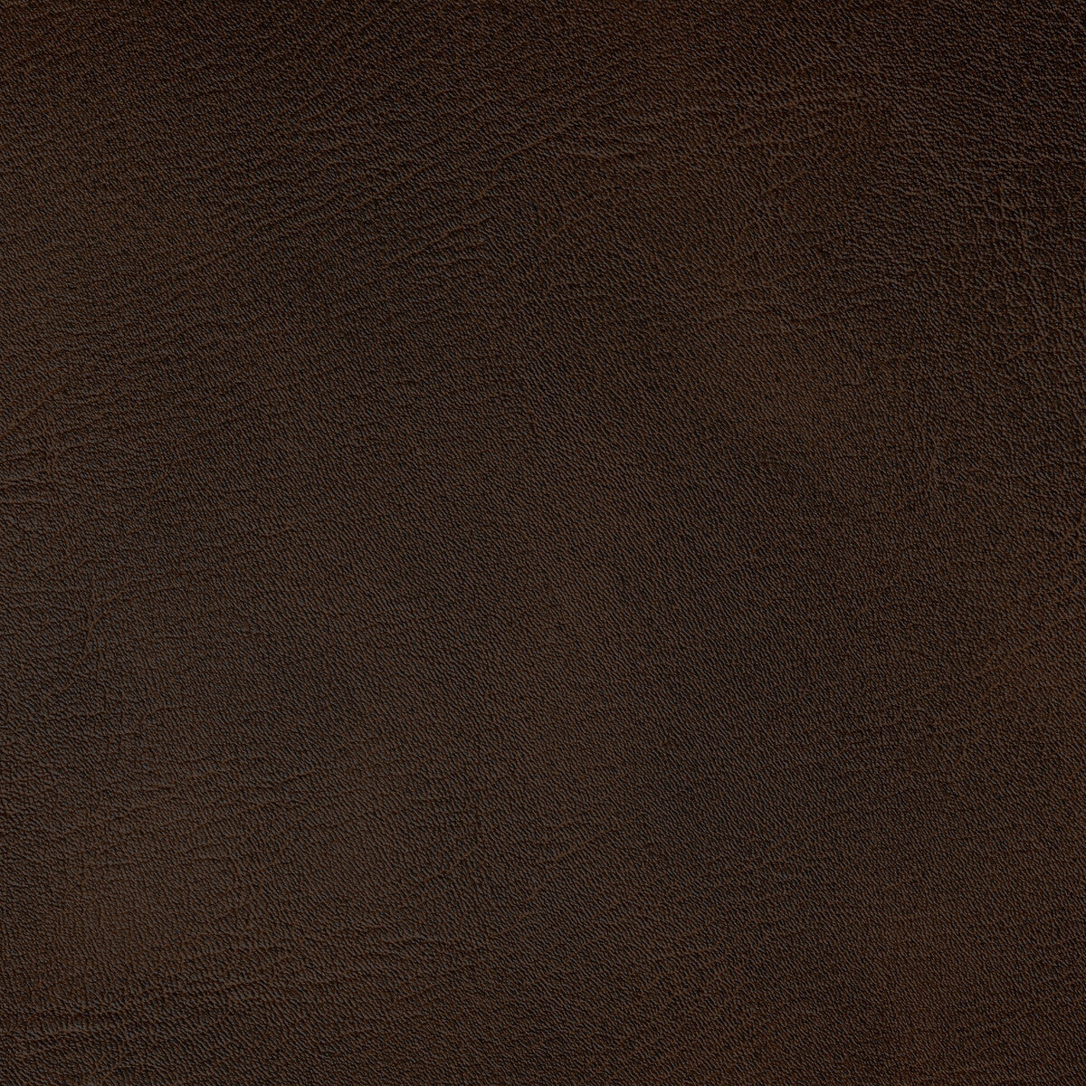 spur61610-spur-java-kravet-contract