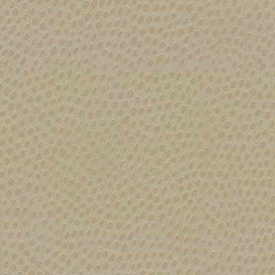 dewdrops1160-dewdrops-sand-kravet-design - KRAVET DESIGN Fabric