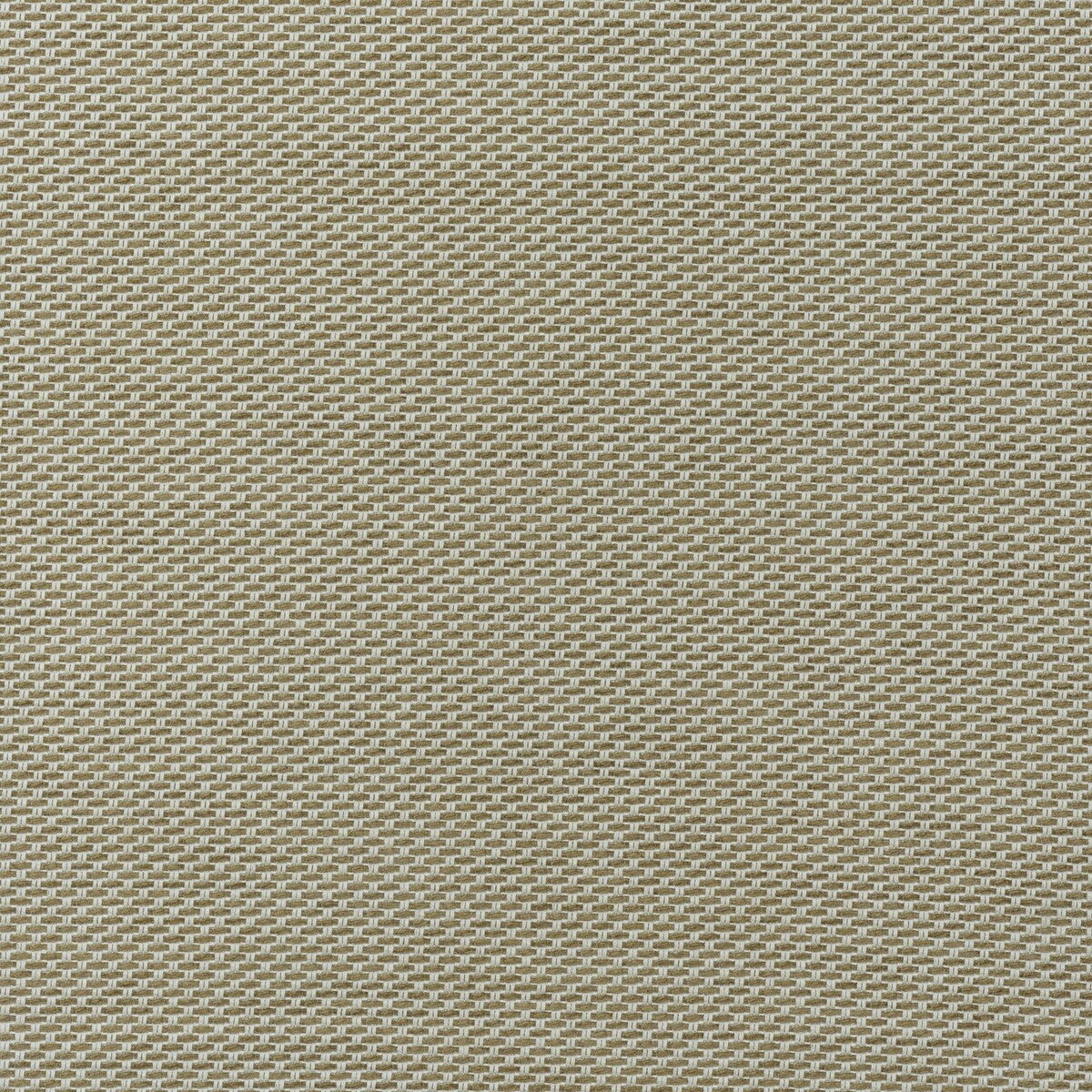 am1004771660-taormina-almond-kravet-couture - KRAVET COUTURE Fabric