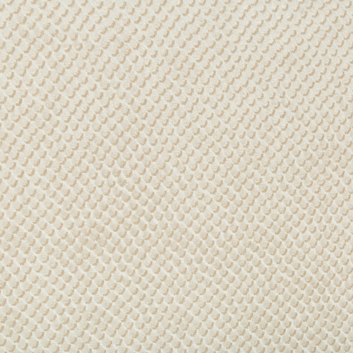 34051160-mazzy-dot-parchment-kravet-design - KRAVET DESIGN Fabric