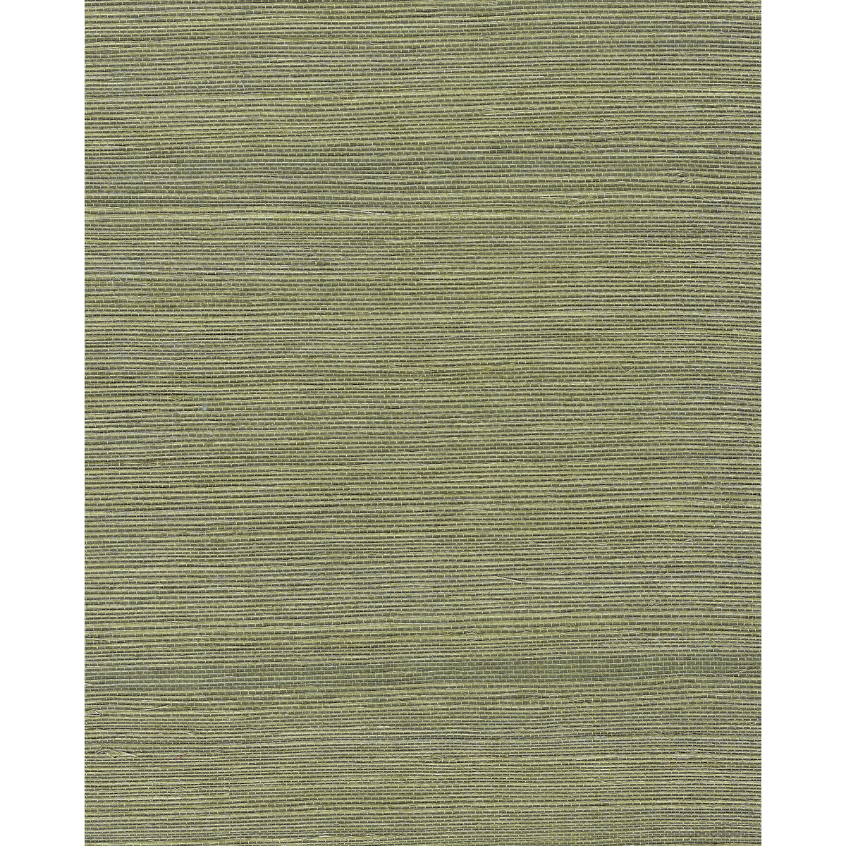 wnr2112wt0-chiyo-sisal-moss-winfield-thybony - WINFIELD THYBONY Wallpaper