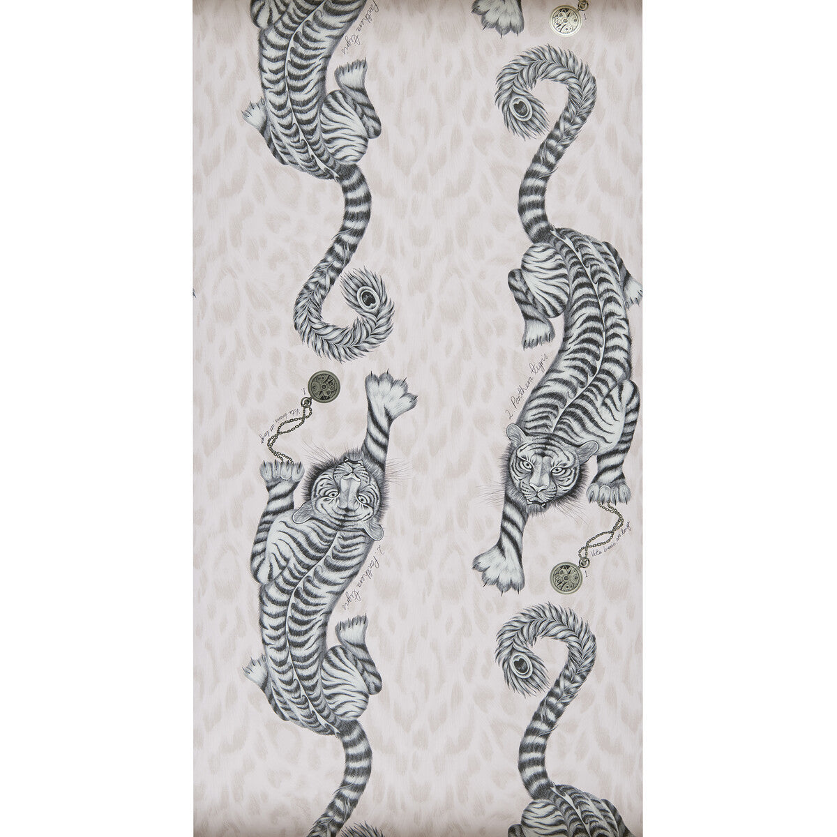 w010504cac0-tigris-pink-clarke-and-clarke - CLARKE AND CLARKE Wallpaper