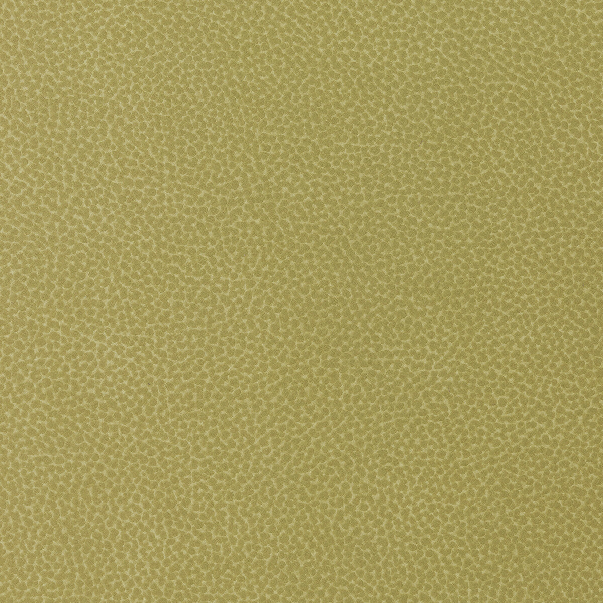 sweetgum3400-kravet-design-sweetgum-340-kravet-design