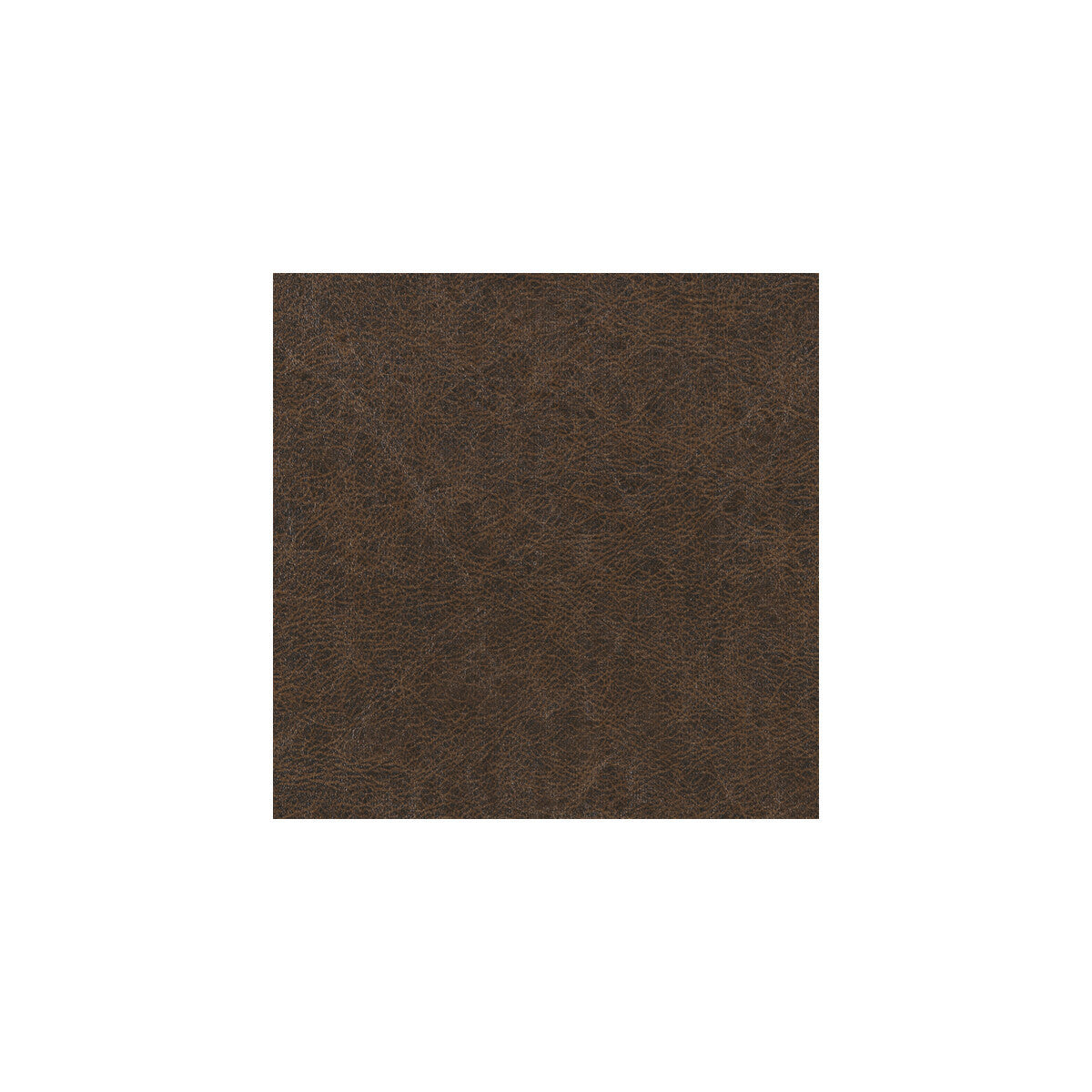 wpw1133wt0-enduring-chestnut-winfield-thybony