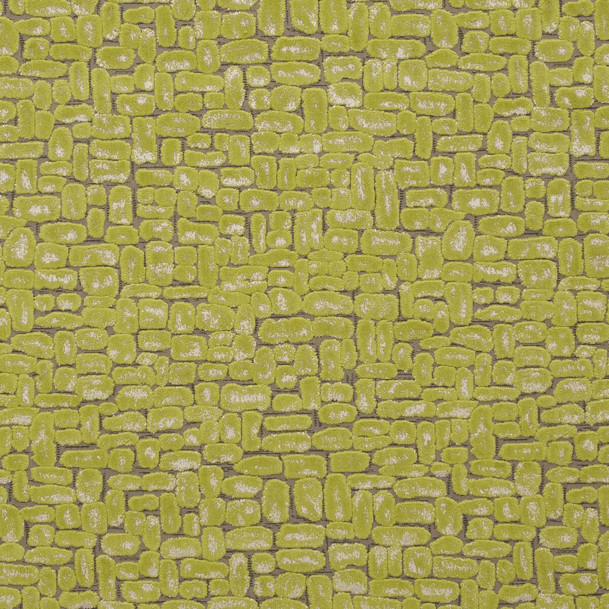 f075203cac0-moda-citrus-clarke-and-clarke - CLARKE AND CLARKE Fabric