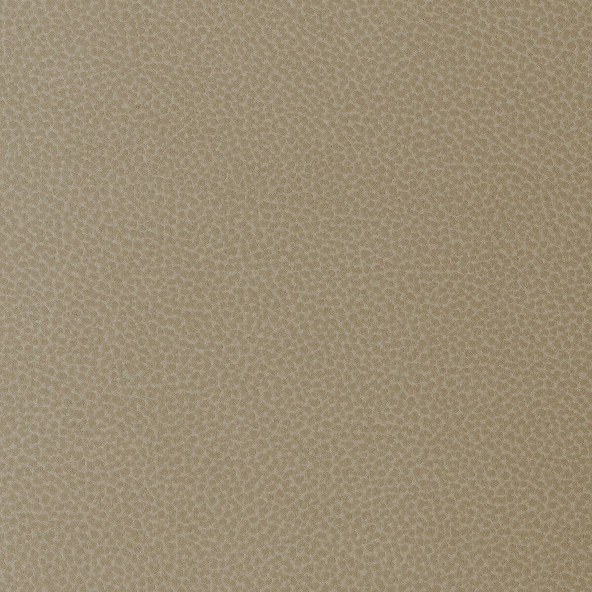 sweetgum160-kravet-design-sweetgum-16-kravet-design