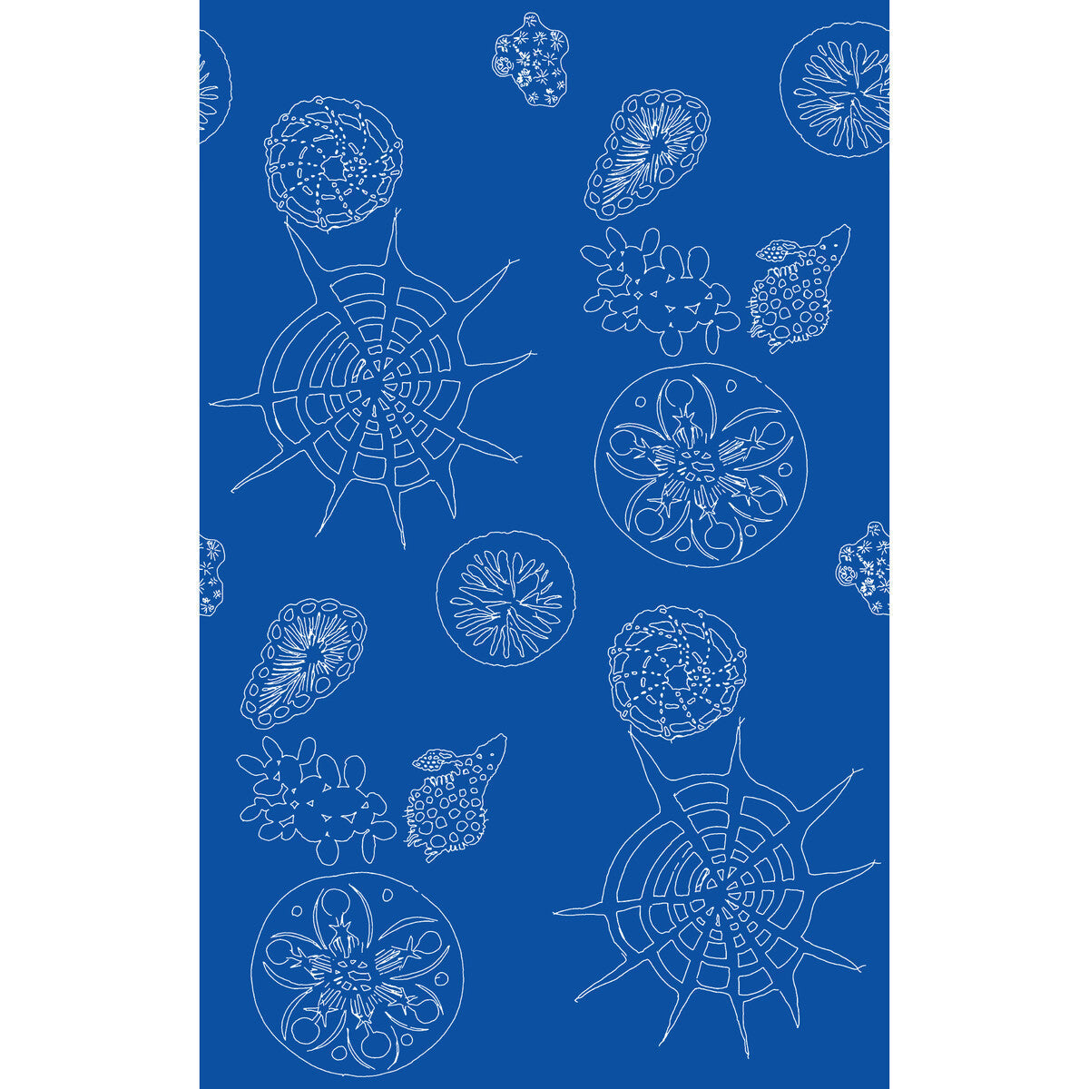 w358550-telescopic-p-nautics-kravet-couture - KRAVET COUTURE Wallpaper