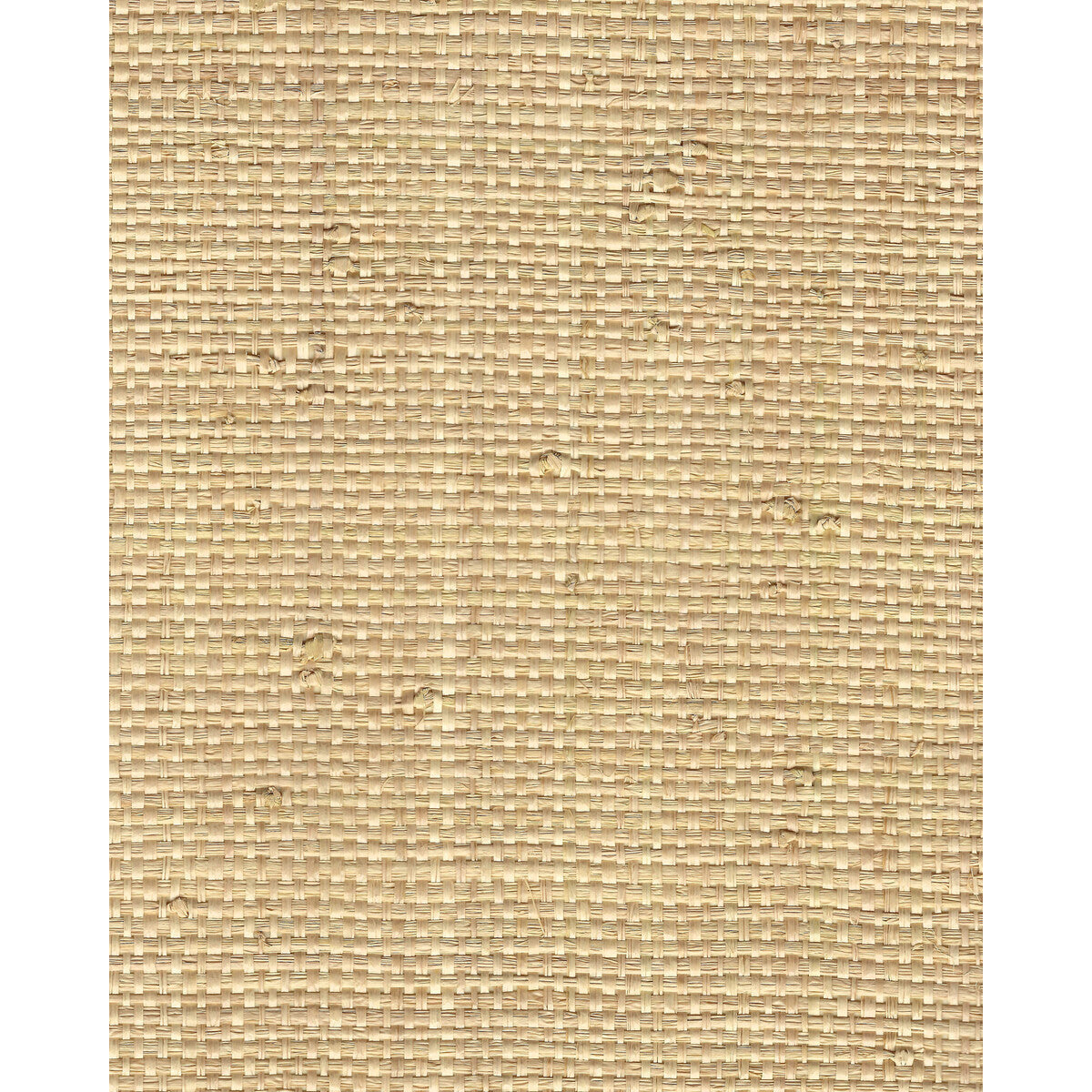wnr2059wt0-kiko-weave-natural-winfield-thybony - WINFIELD THYBONY Wallpaper