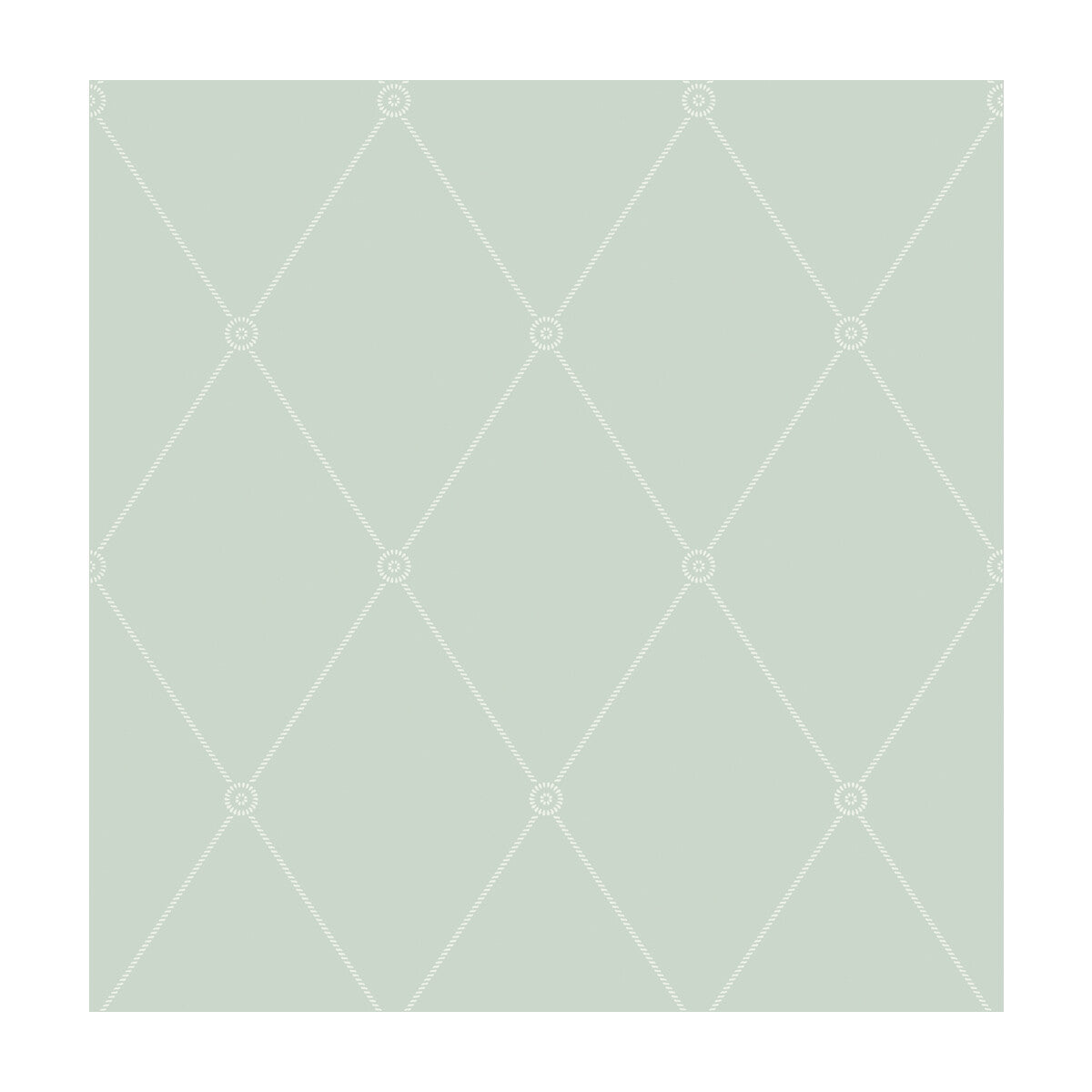 10013066cs0-large-georgian-rope-trellis-duck-egg-cole-son