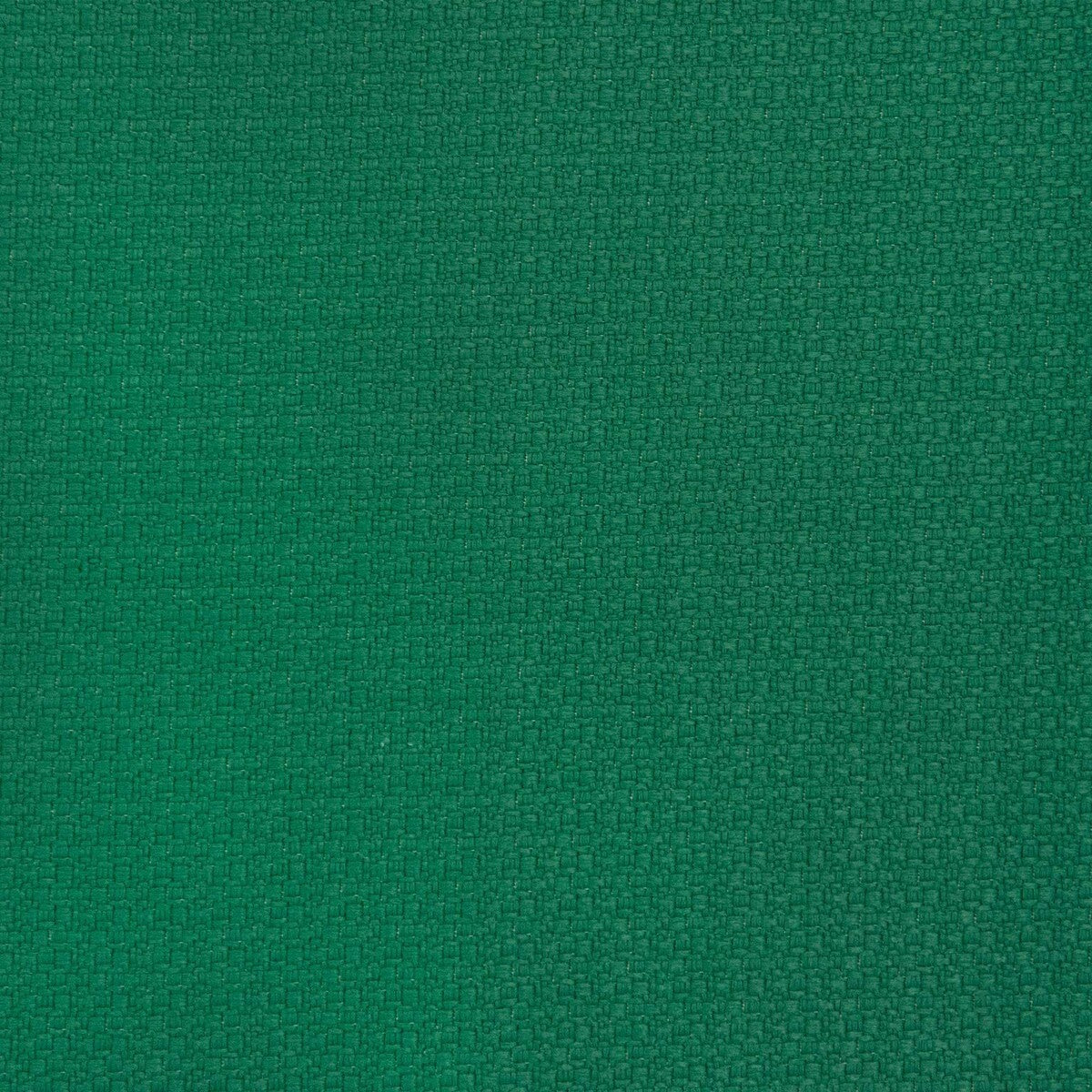 gdt56980080-lhasa-verde-gaston-y-daniela