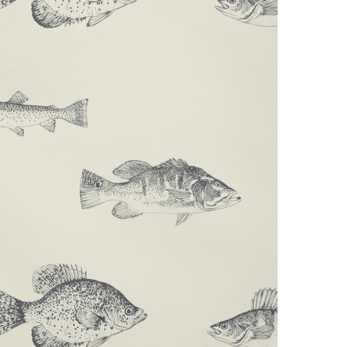 w4358210-kravet-design-w4358-21-kravet-design - KRAVET DESIGN Wallpaper