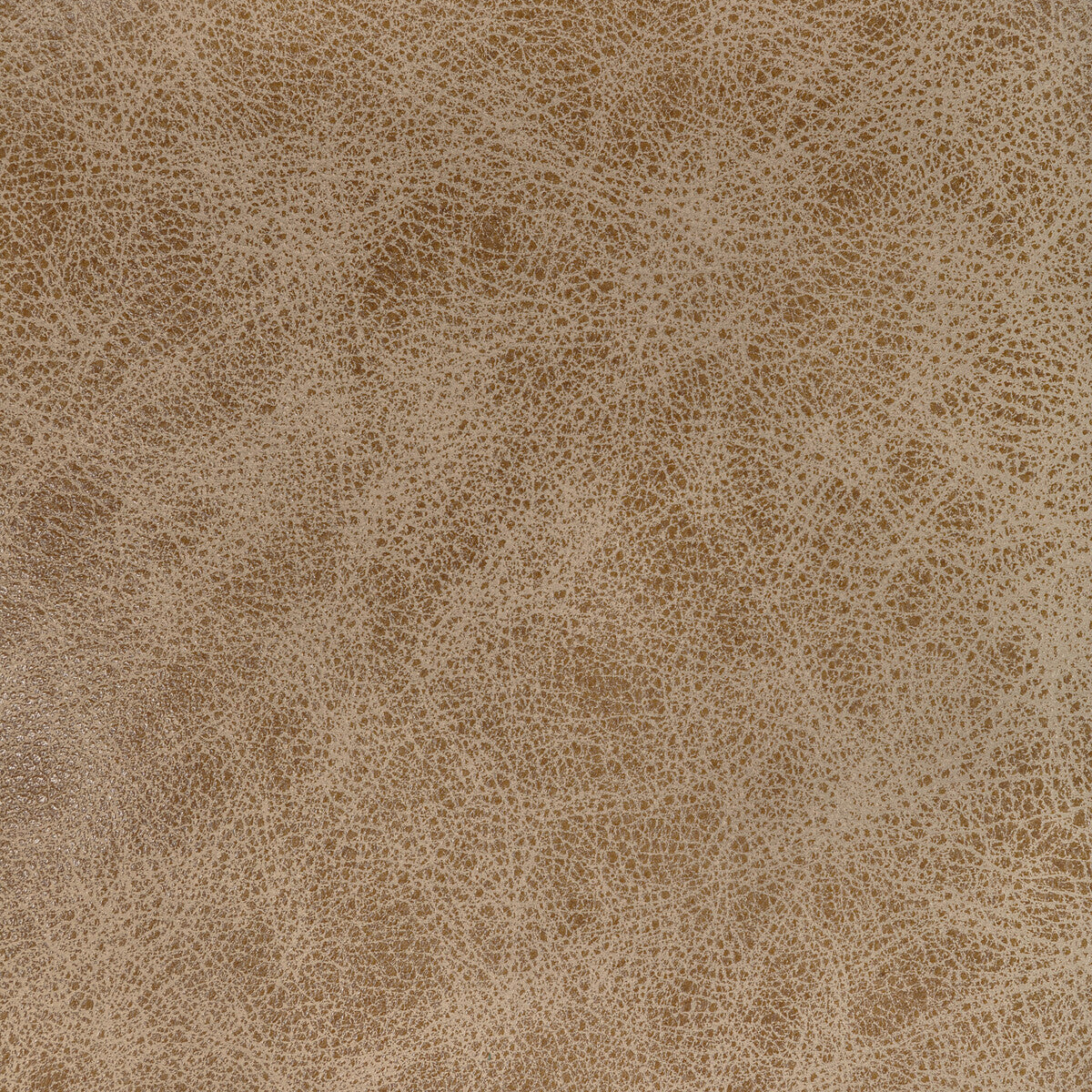 l-grangecamel0-kravet-design-l-grange-camel-kravet-design