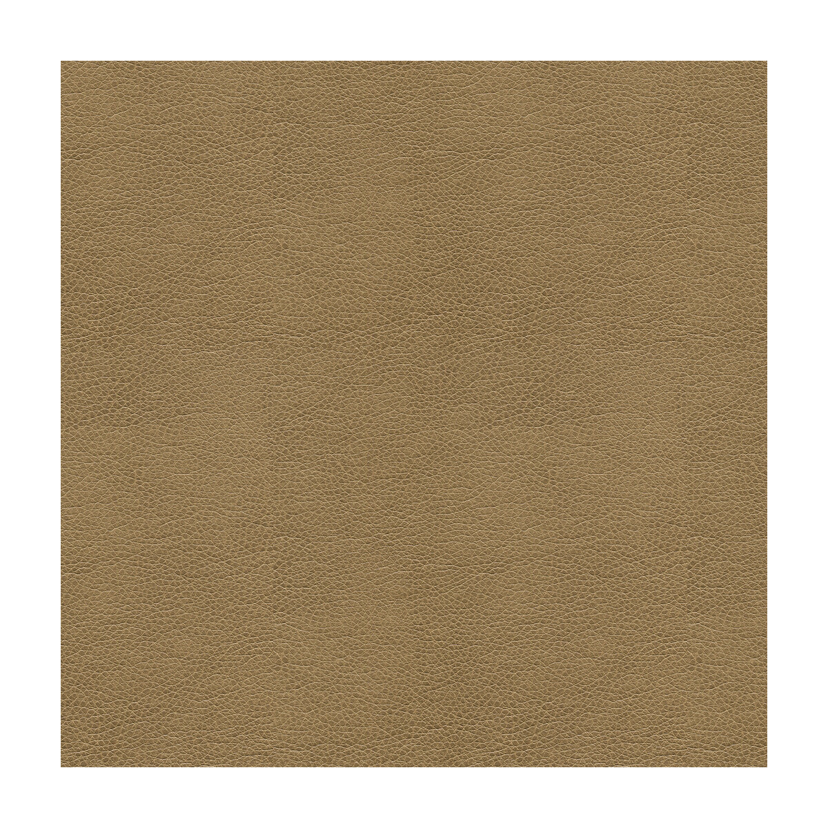 alina1060-kravet-smart-alina-106-kravet-smart