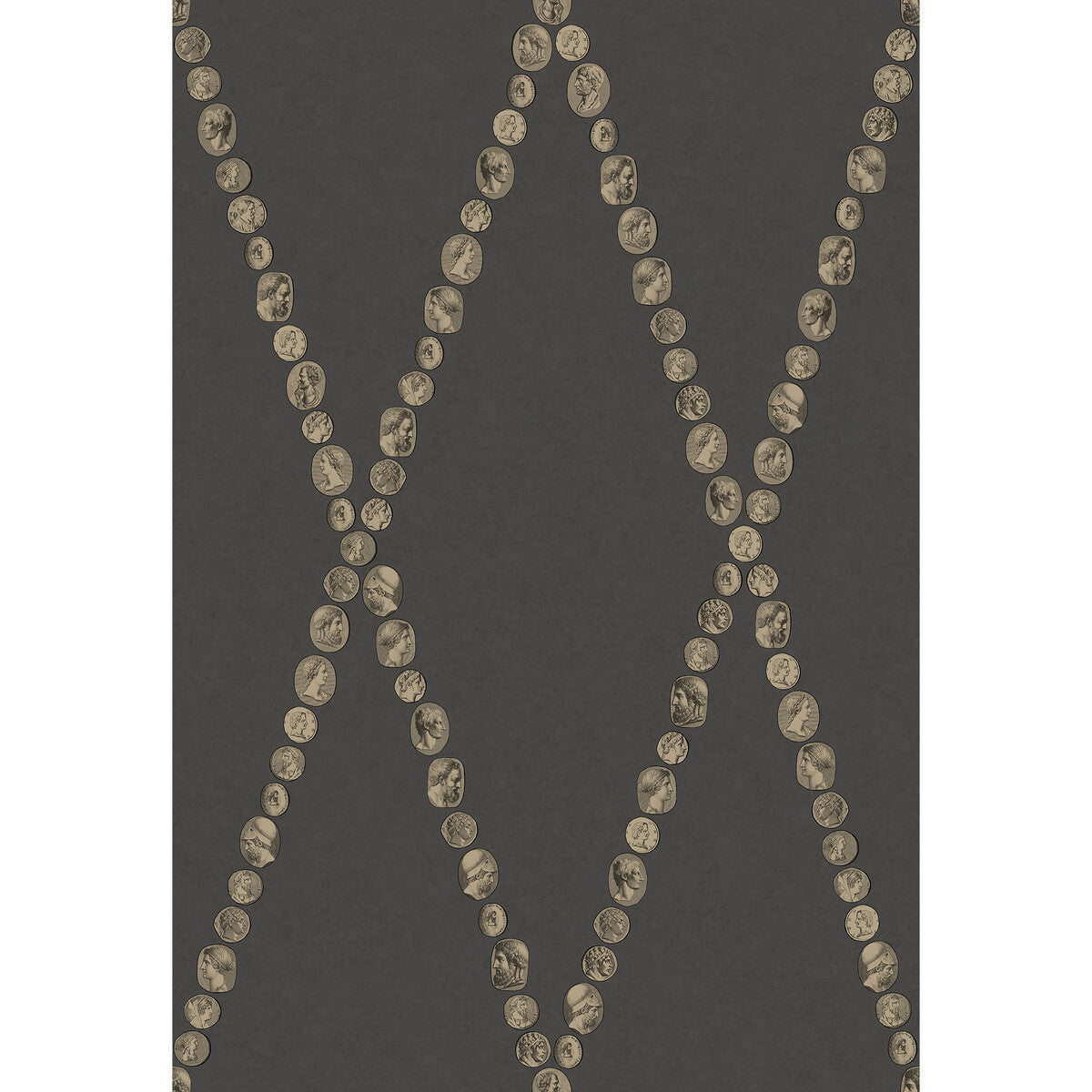 1234018cs0-cammei-gold-on-charcoal-cole-son