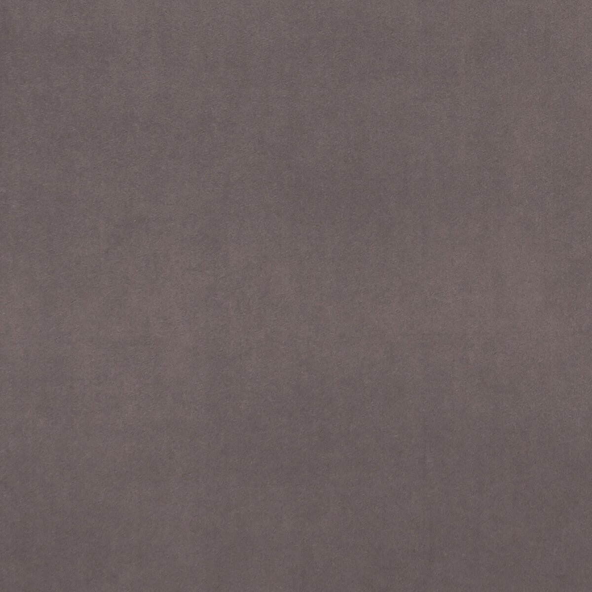 f075379cac0-alvar-mink-clarke-and-clarke - CLARKE AND CLARKE Fabric