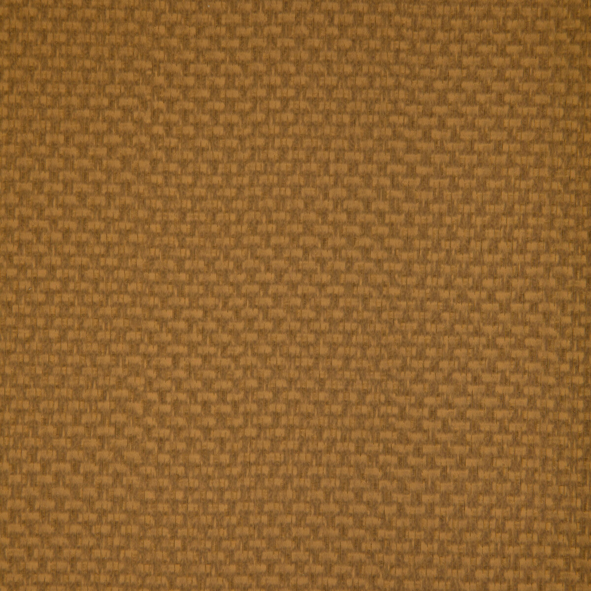 stein4040-stein-marigold-kravet-contract
