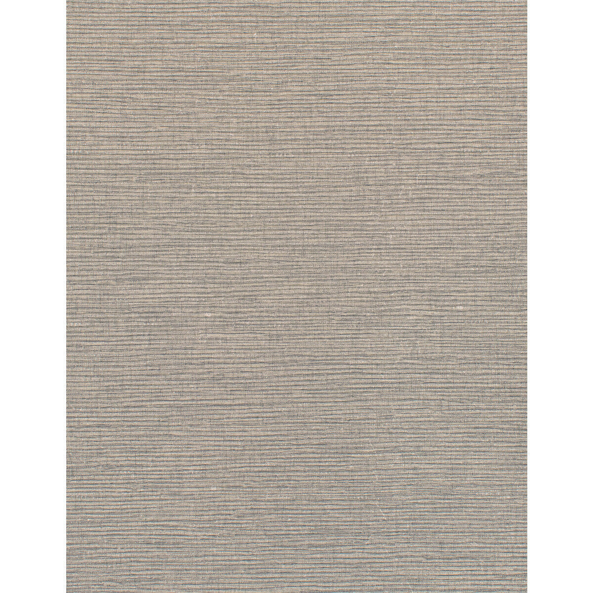 wdw2263wt0-sinclair-bonds-wings-winfield-thybony - WINFIELD THYBONY Wallpaper