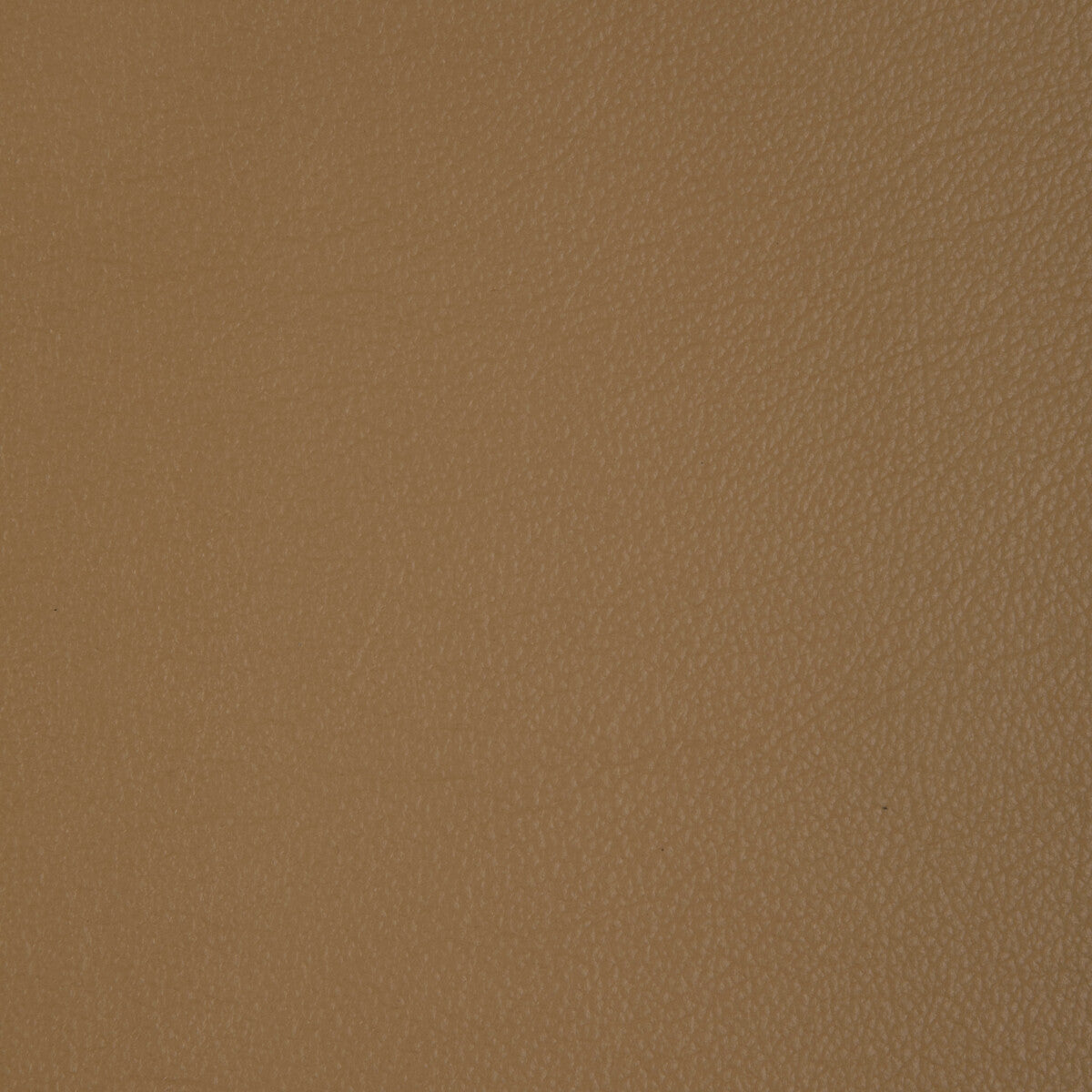 l-badgercamel0-kravet-design-l-badger-camel-kravet-design
