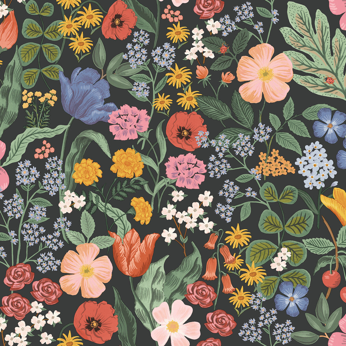 w42968170-kravet-design-w4296-817-kravet-design - KRAVET DESIGN Wallpaper