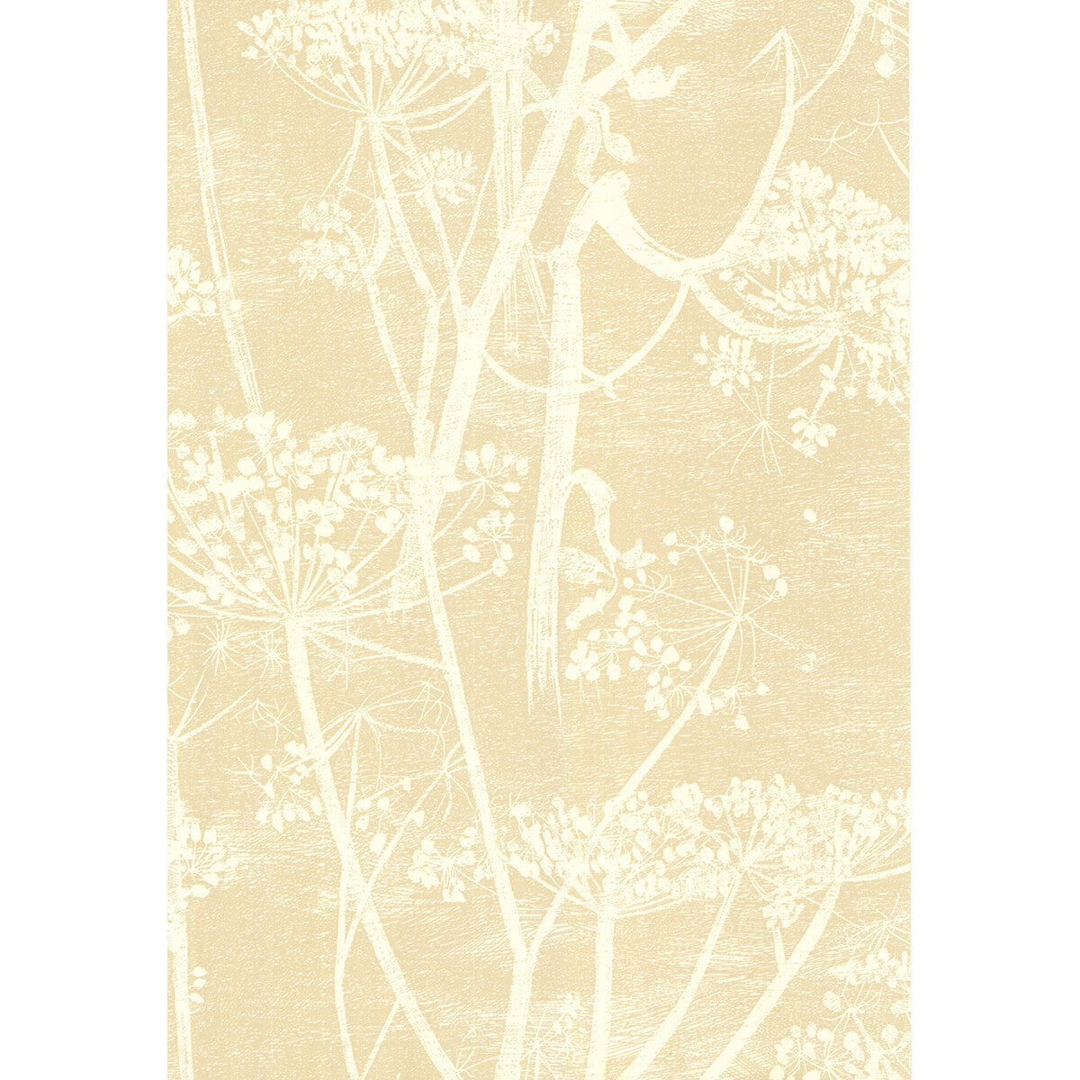 667049cs0-cow-parsley-whitebge-cole-son - COLE & SON Wallpaper