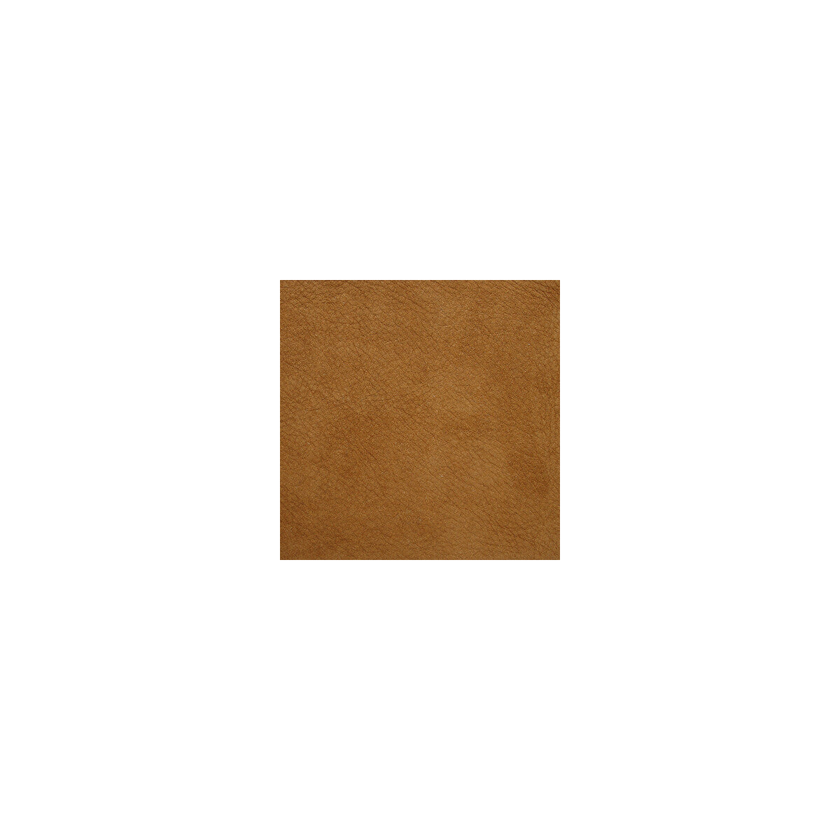 l-saguarosand0-kravet-design-l-saguaro-sand-kravet-design