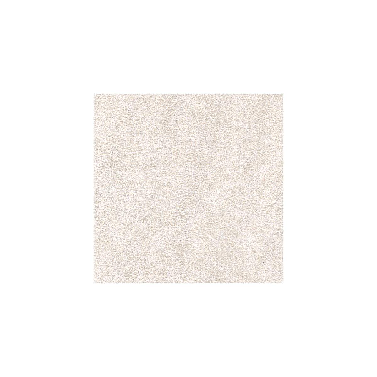 wpw1123wt0-enduring-desert-winfield-thybony
