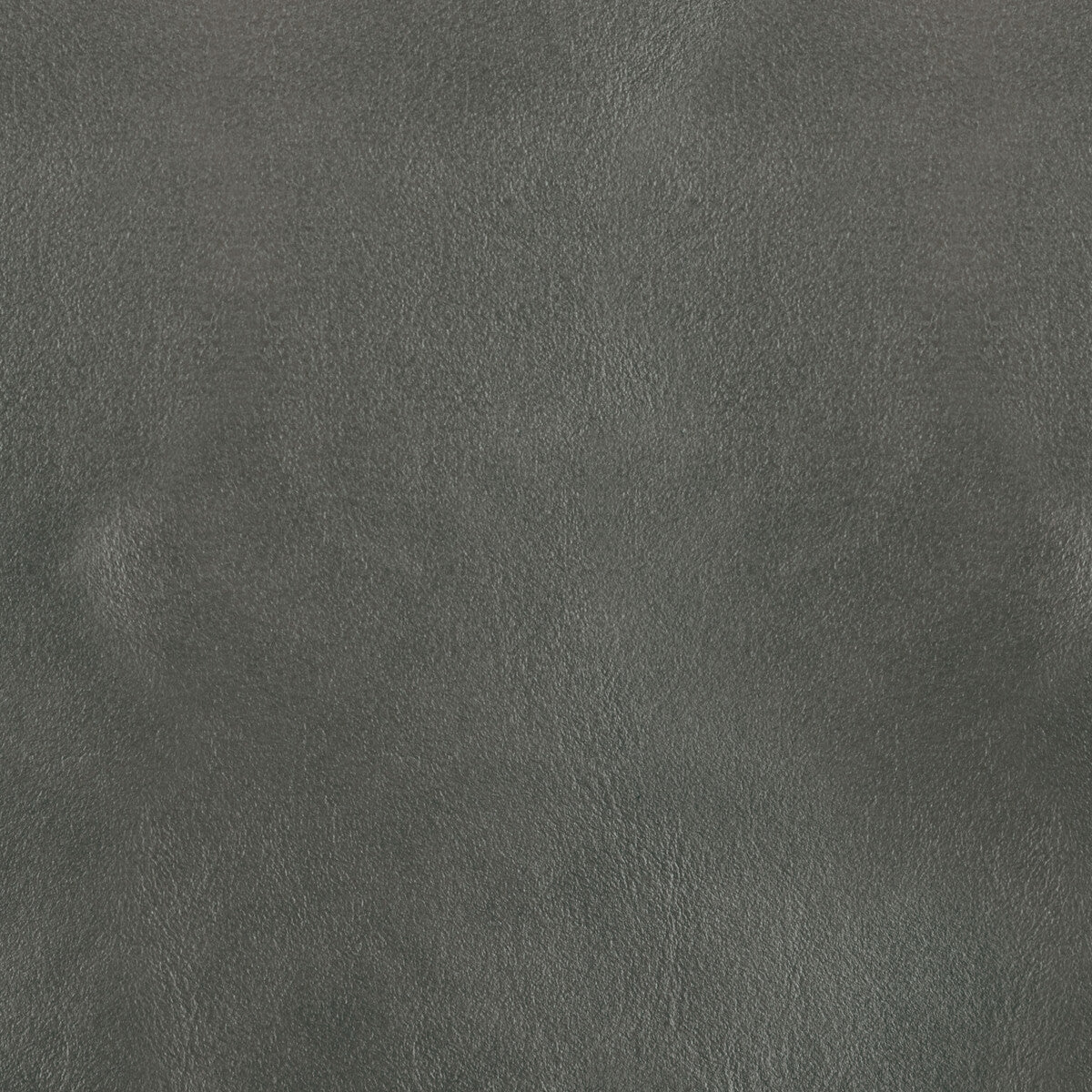 l-botacoin0-kravet-design-l-bota-coin-kravet-design
