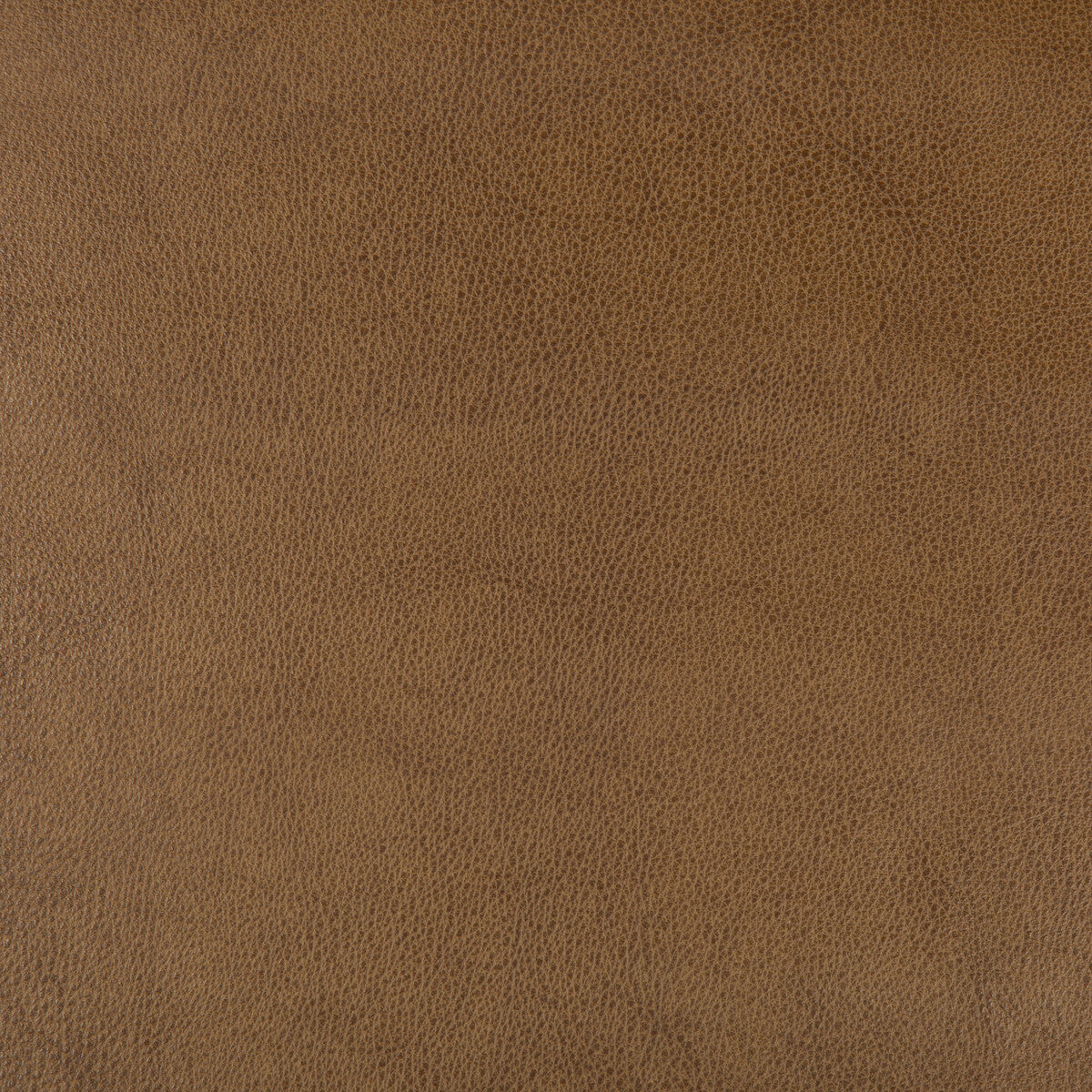 dust6160-kravet-design-dust-616-kravet-design - KRAVET DESIGN Fabric