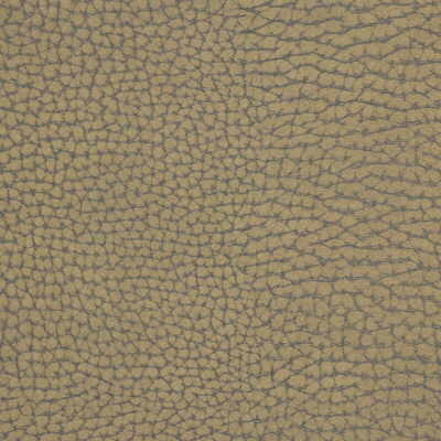 forgetful60-forgetful-stone-kravet-couture