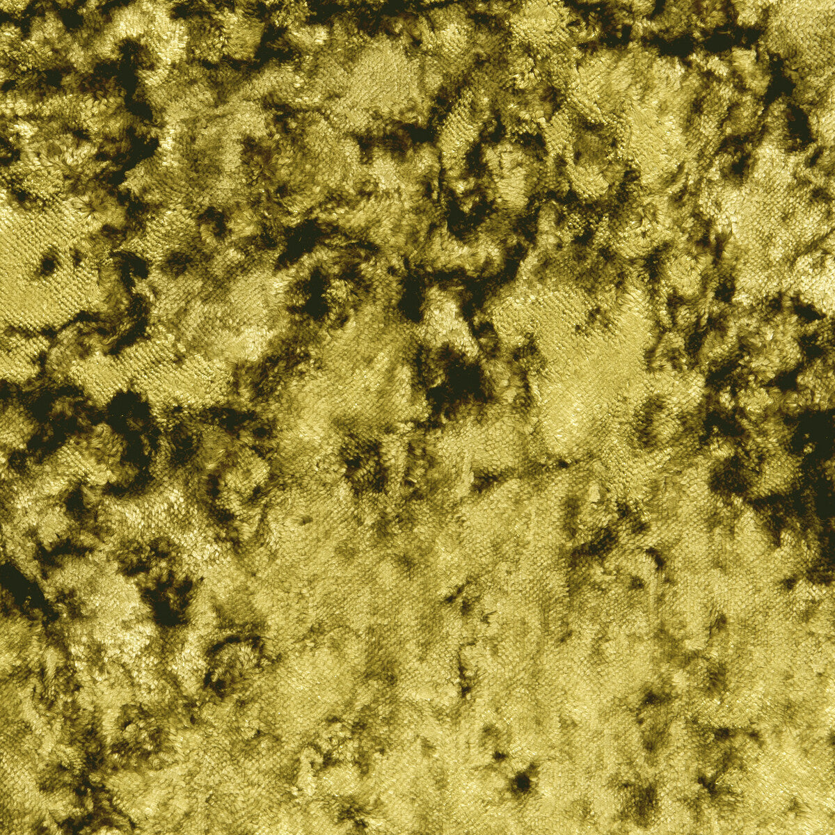 f065007cac0-crush-citrus-clarke-and-clarke - CLARKE AND CLARKE Fabric