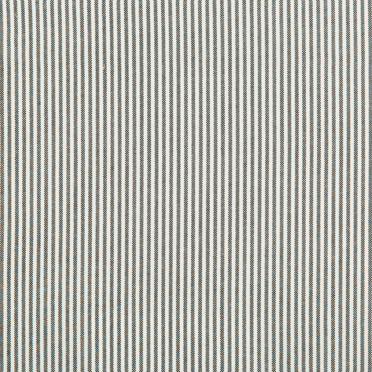 35374810-kravet-basics-35374-81 - KRAVET BASICS Fabric