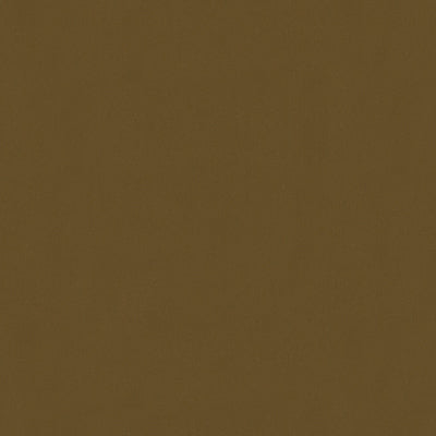 br-897798350-lubeck-cotton-velvet-hazlnut-brunschwig-fils