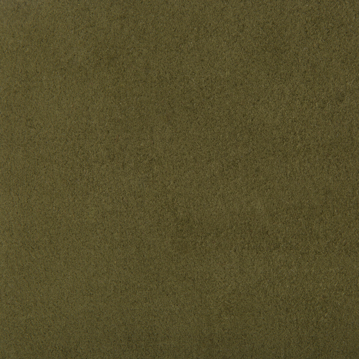 ultrasuede300-ultrasuede-sap-kravet-design - KRAVET DESIGN Fabric