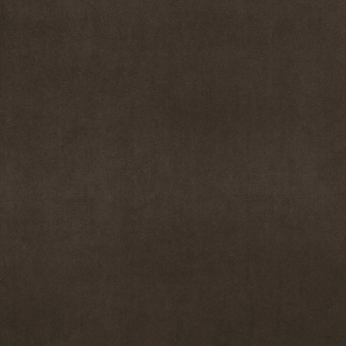 f075332cac0-alvar-chocolate-clarke-and-clarke - CLARKE AND CLARKE Fabric