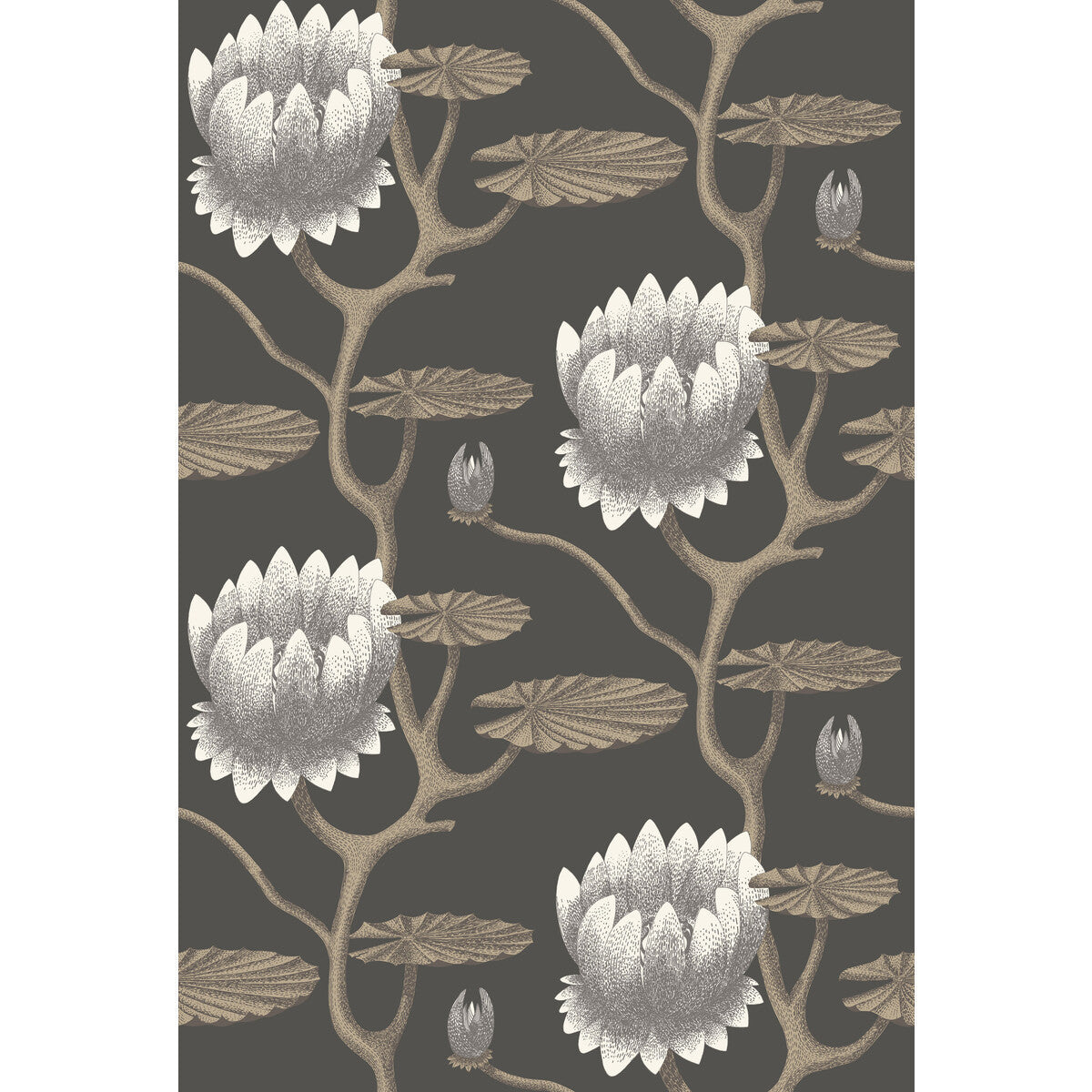 954026cs0-summer-lily-blkwhtgold-cole-son - COLE & SON Wallpaper
