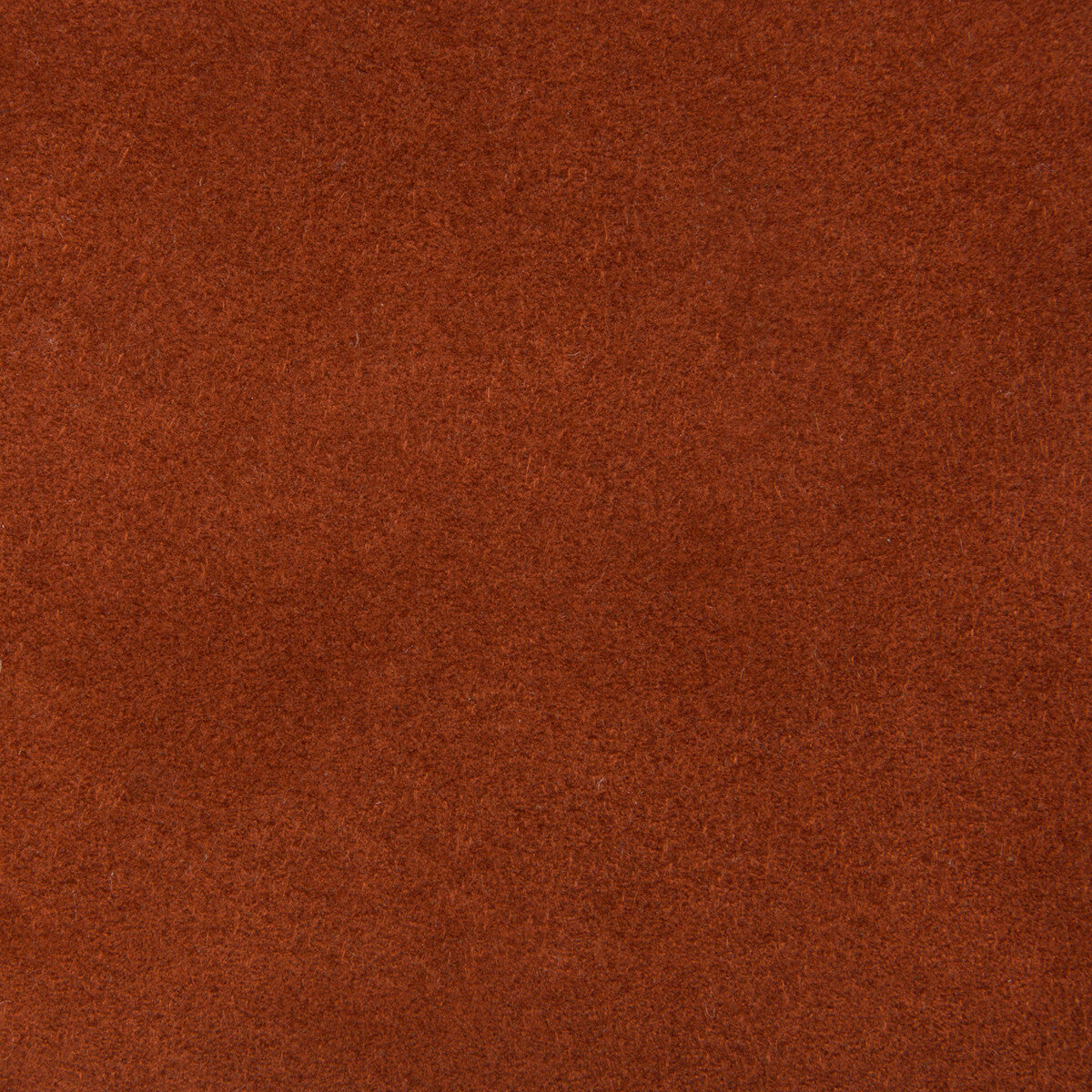 ultrasuede240-ultrasuede-spice-kravet-design - KRAVET DESIGN Fabric