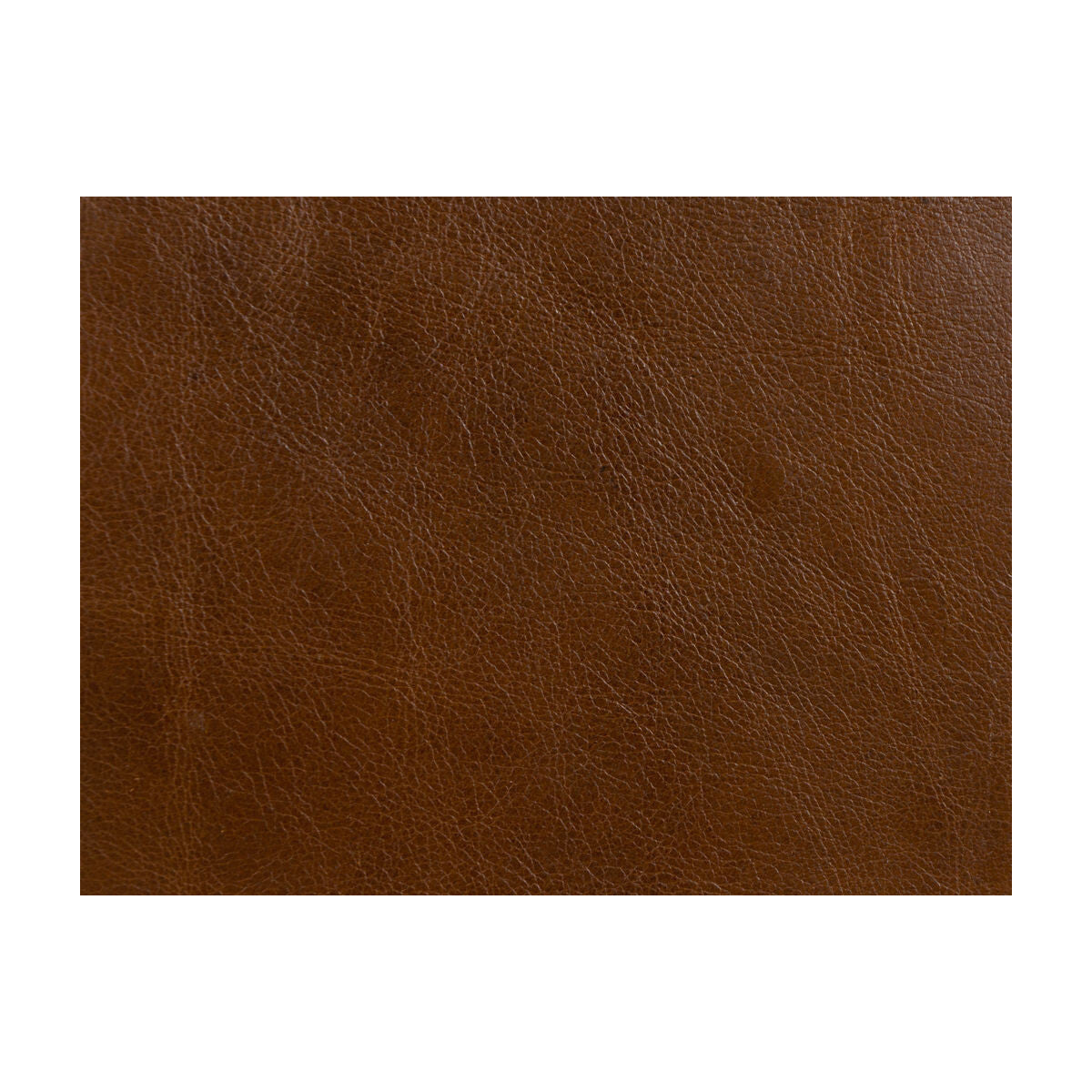 l-timelesssaddle0-kravet-design-l-timeless-saddle-kravet-design