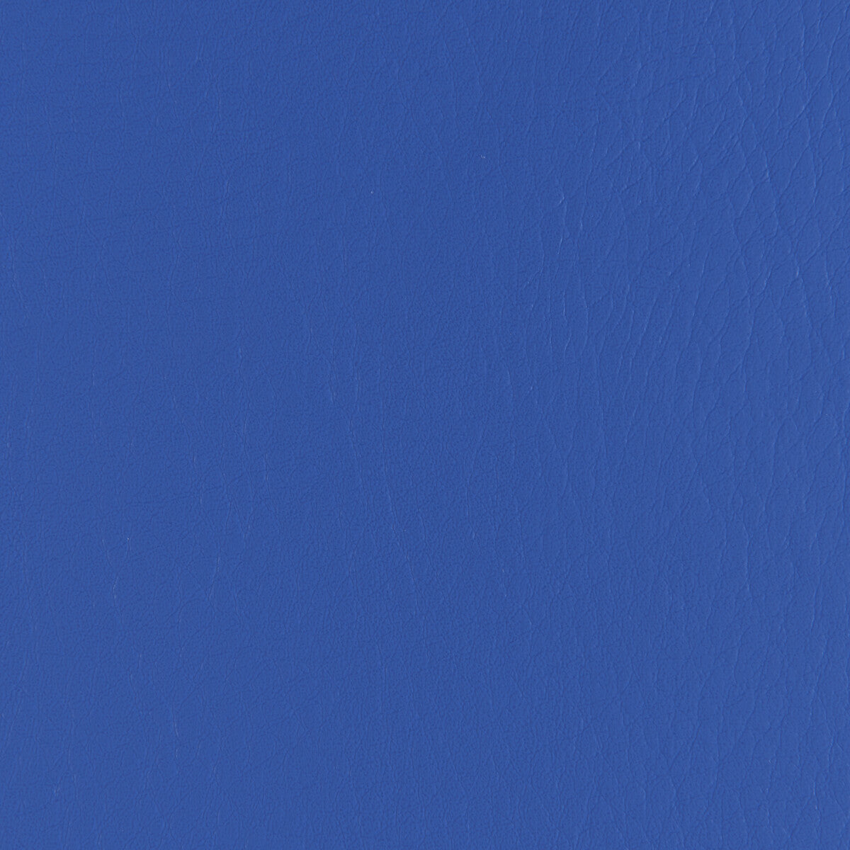 forza50-forza-sail-kravet-contract