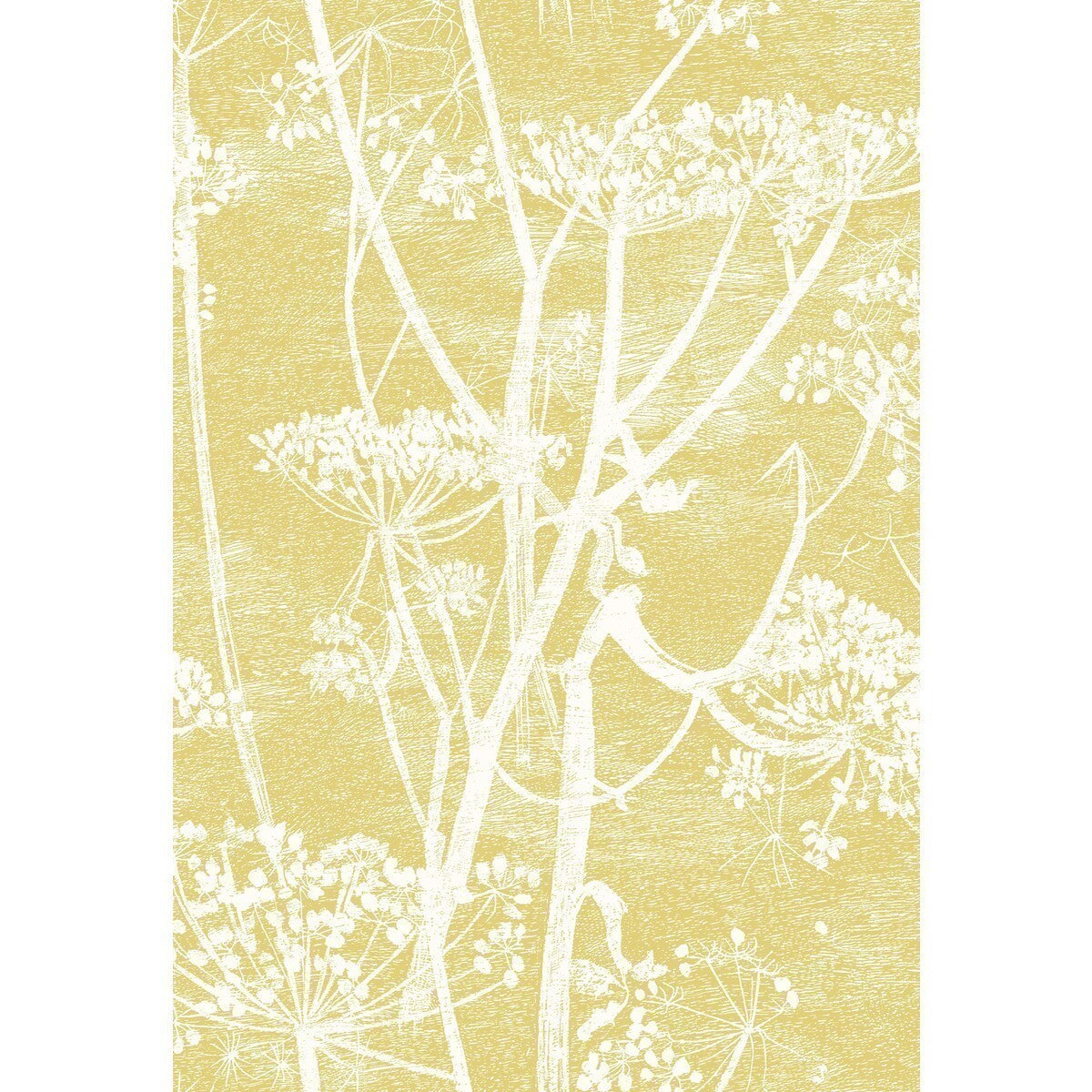 f1115020cs0-cow-parsley-linen-print-whitechartre-cole-son