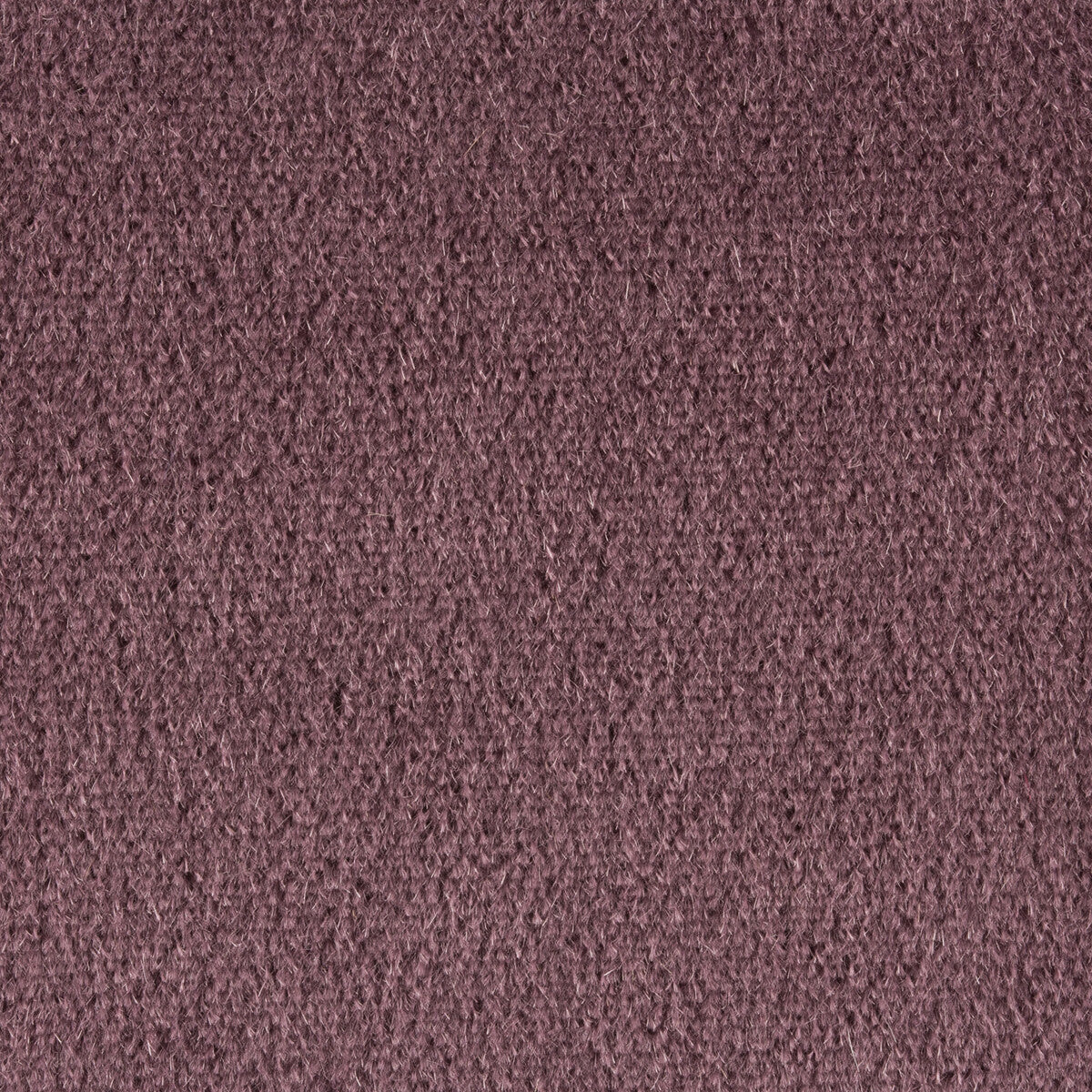 br-897787680-autun-mohair-velvet-prune-brunschwig-fils - BRUNSCHWIG & FILS Fabric