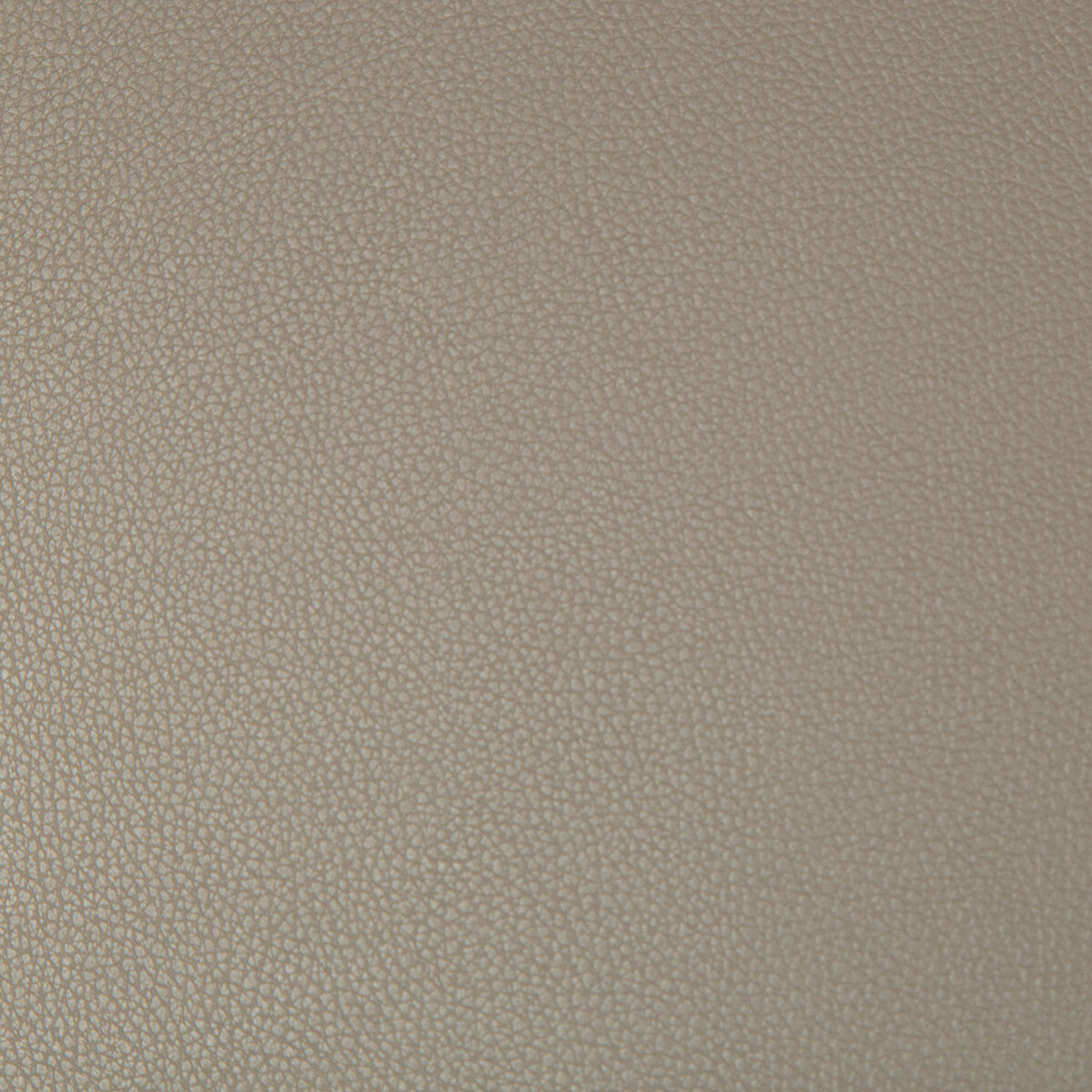 syrus1060-syrus-driftwood-kravet-contract