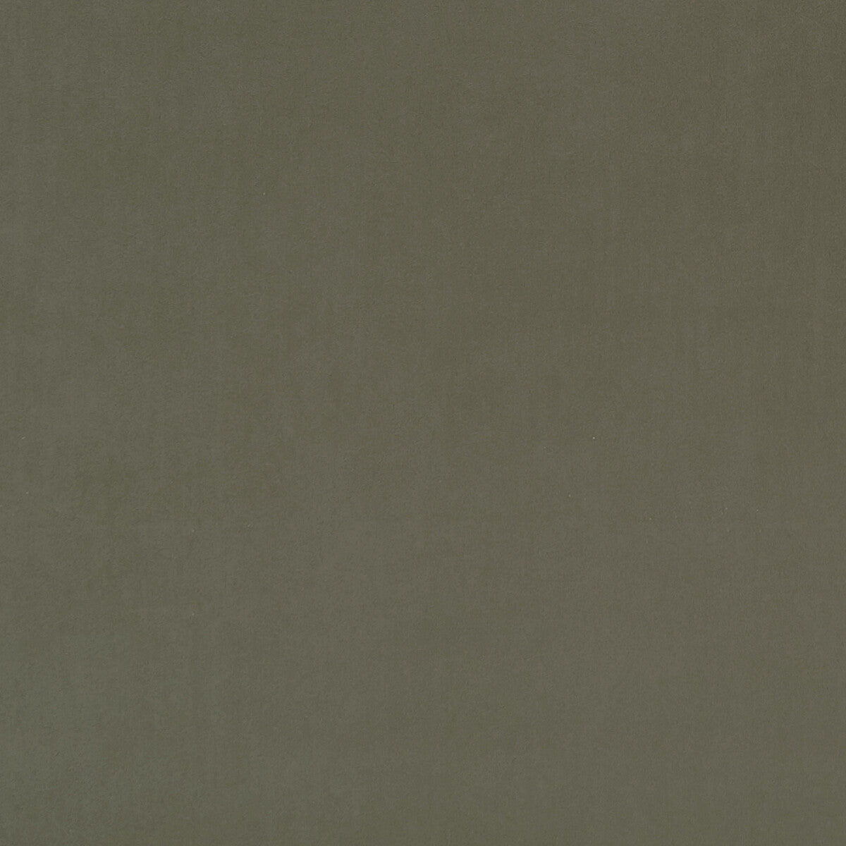 f075346cac0-alvar-sage-clarke-and-clarke - CLARKE AND CLARKE Fabric