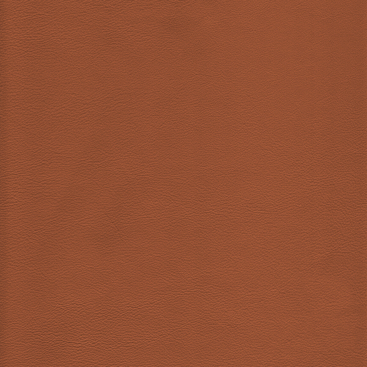 l-howdytoffee0-kravet-design-l-howdy-toffee-kravet-design