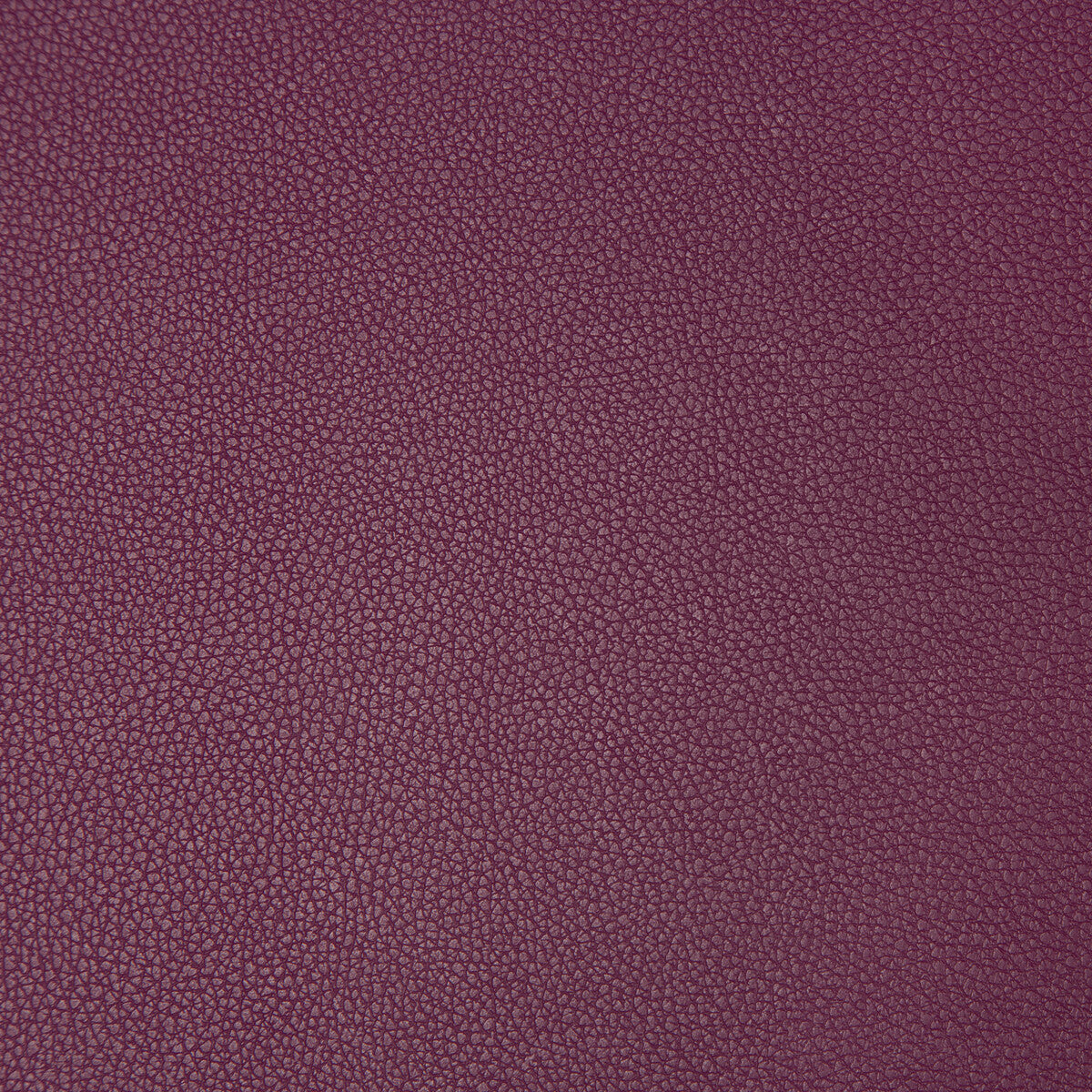 syrus9100-syrus-mulberry-kravet-contract