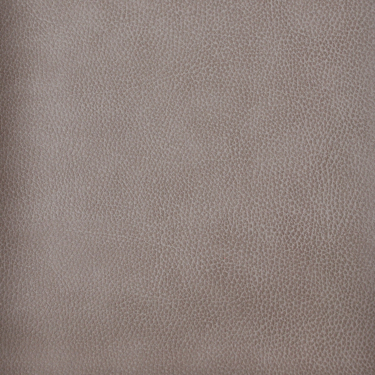 loris110-kravet-design-loris-11-kravet-design