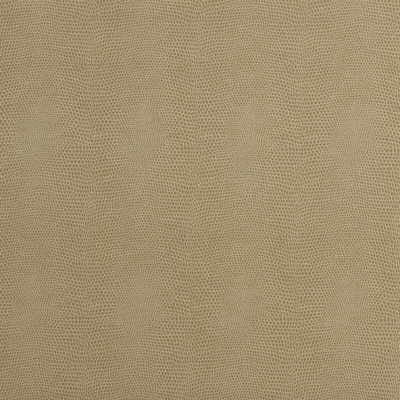 epitome160-epitome-putty-kravet-couture - KRAVET COUTURE Fabric