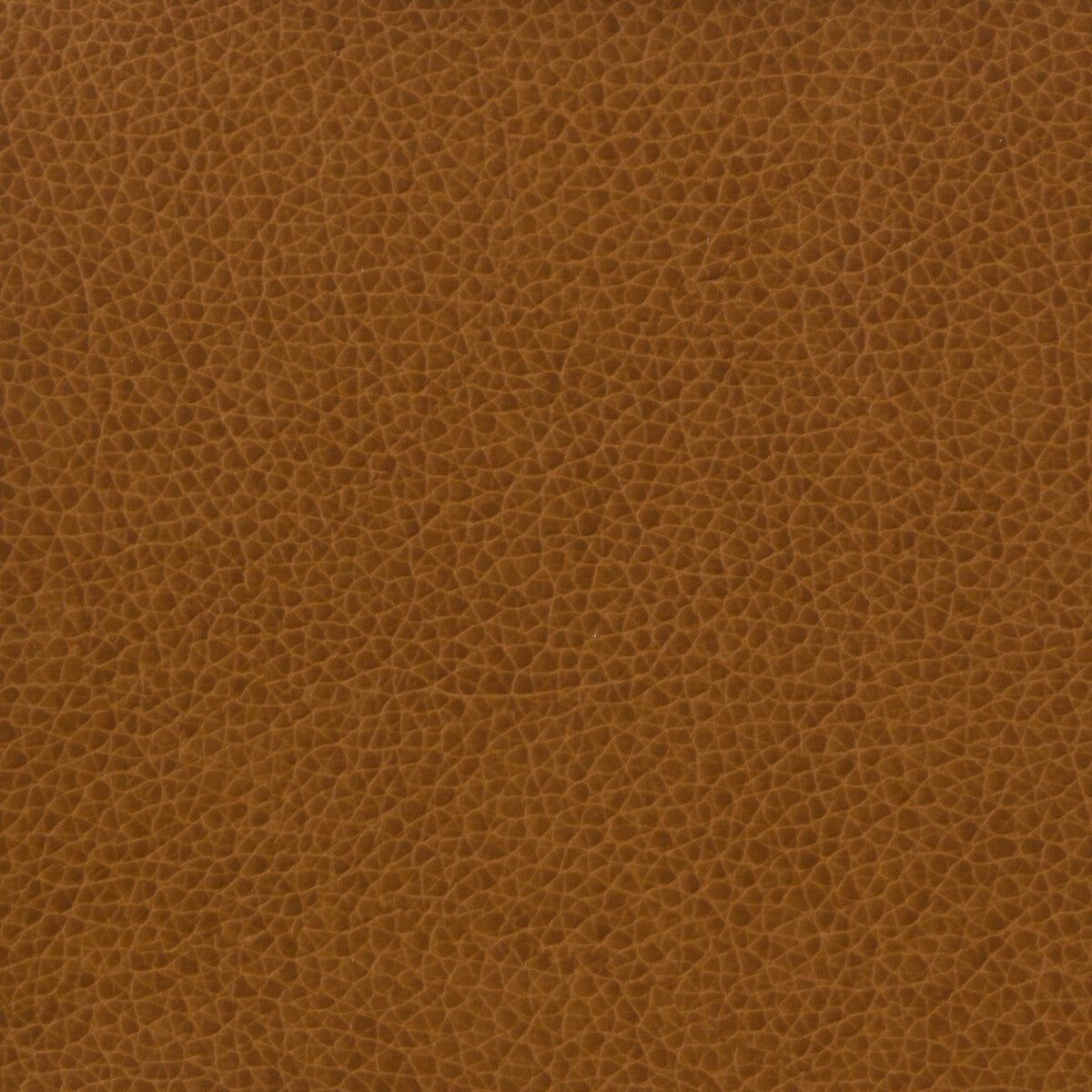matter6160-kravet-basics-matter-616