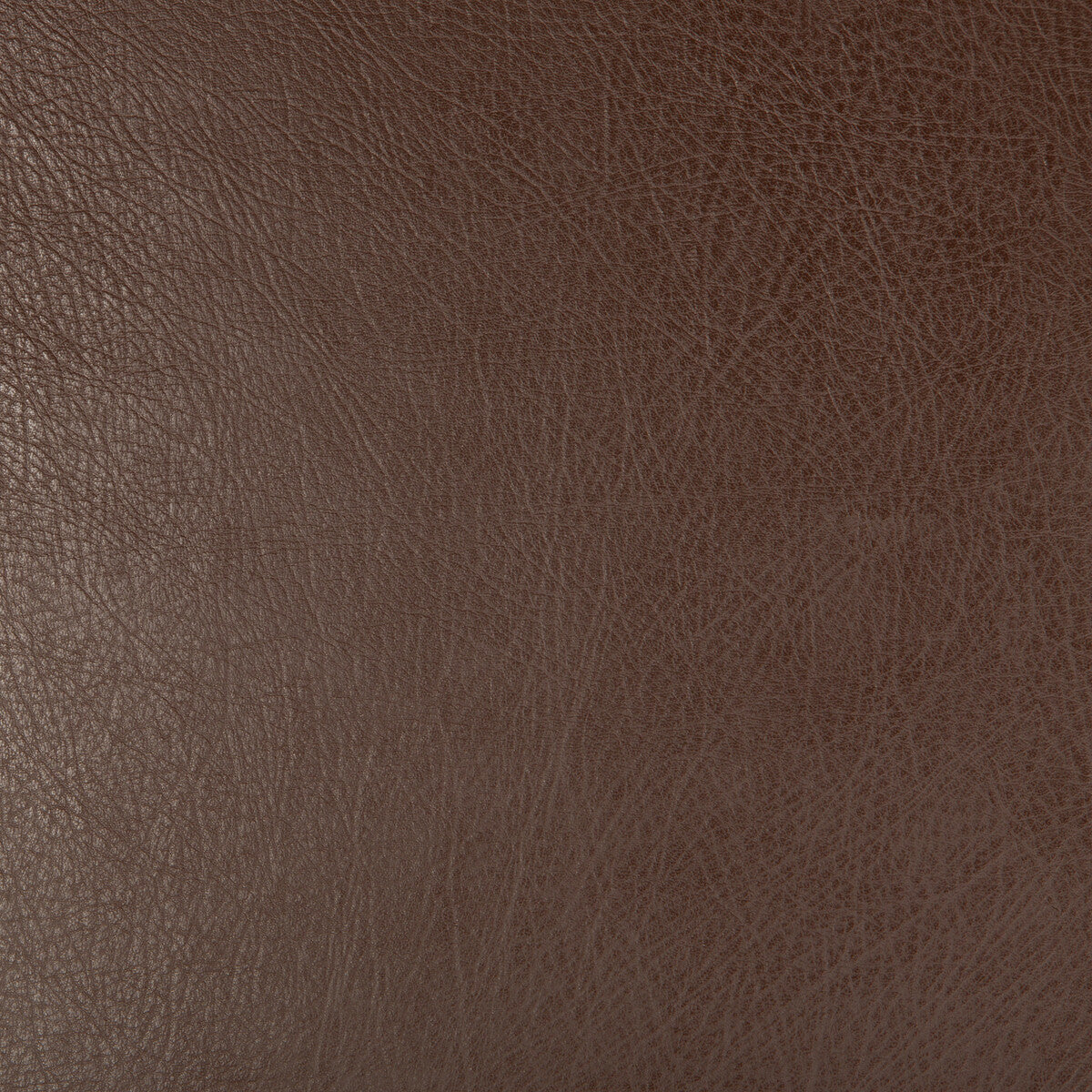 deimos60-kravet-design-deimos-6-kravet-design - KRAVET DESIGN Fabric
