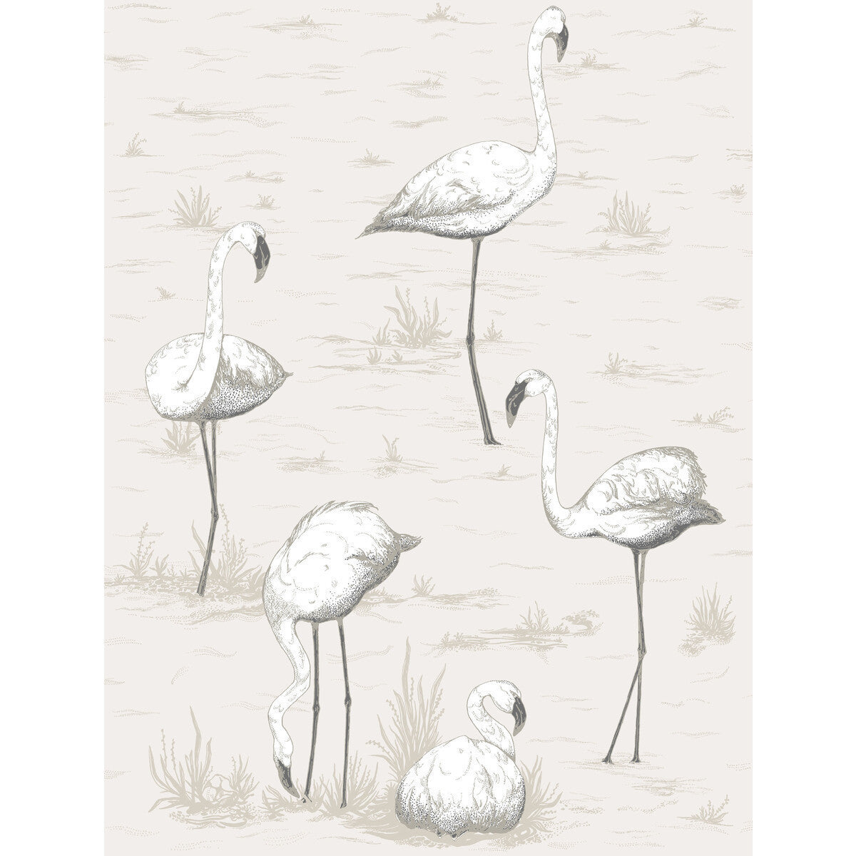 958046cs0-flamingos-charcoalwht-cole-son - COLE & SON Wallpaper