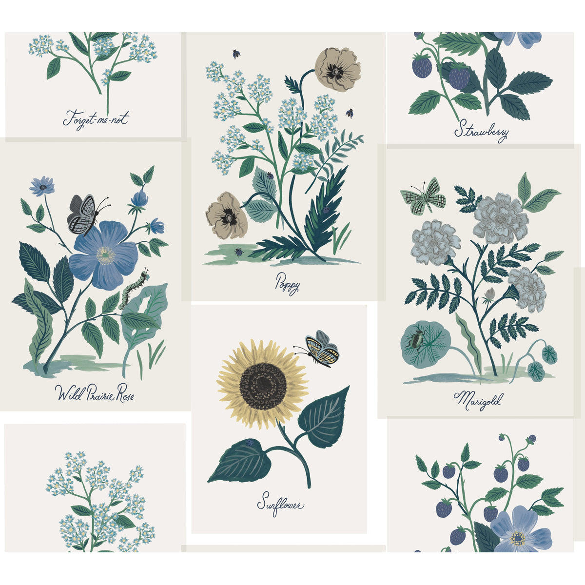 w39473500-kravet-design-w3947-350-kravet-design - KRAVET DESIGN Wallpaper